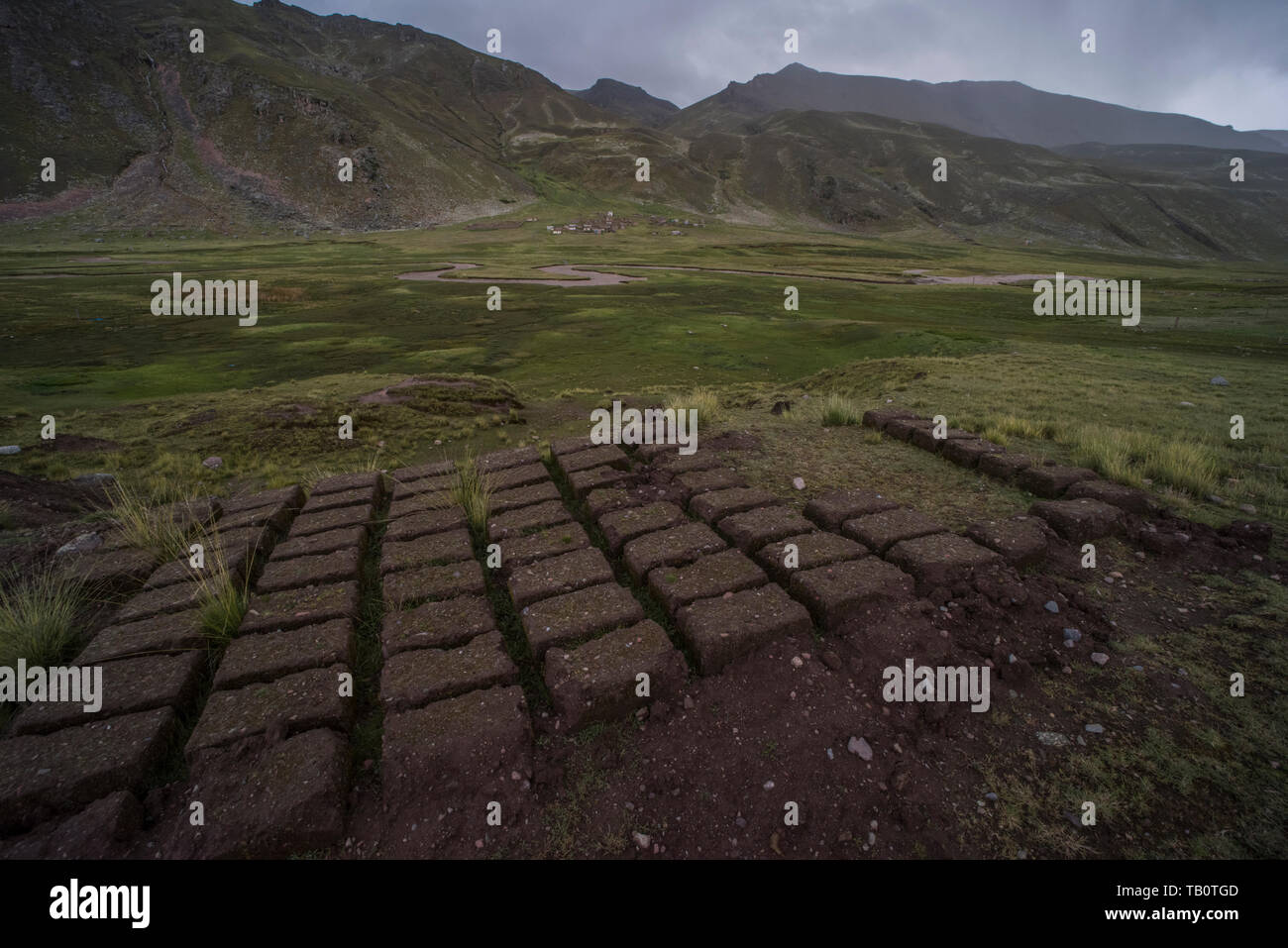 Mud bricks lay in the sun drying so that they can be used for construction in a nearby high Andean village in Peru. Stock Photo