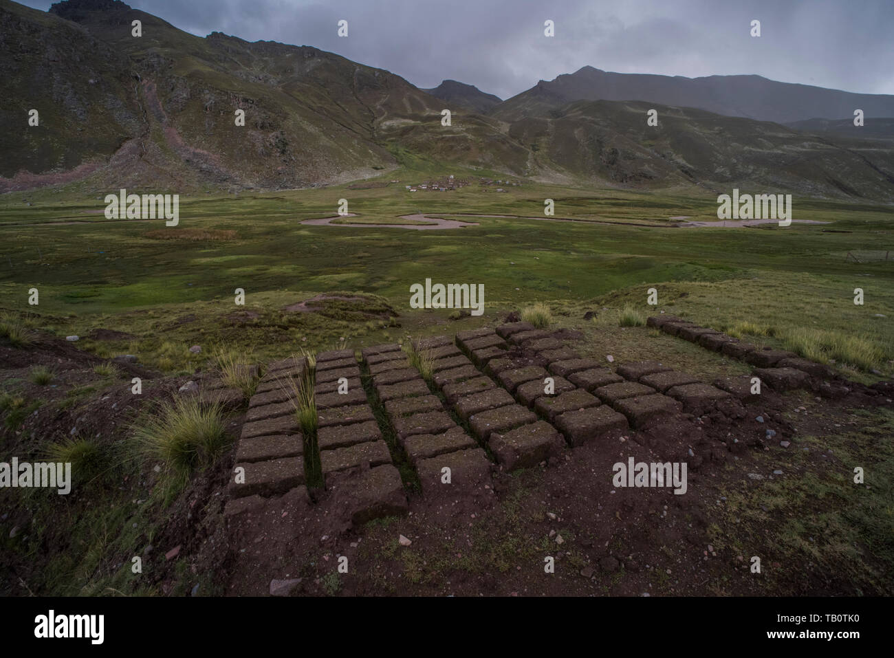 Mud bricks lay in the sun drying so that they can be used for ...