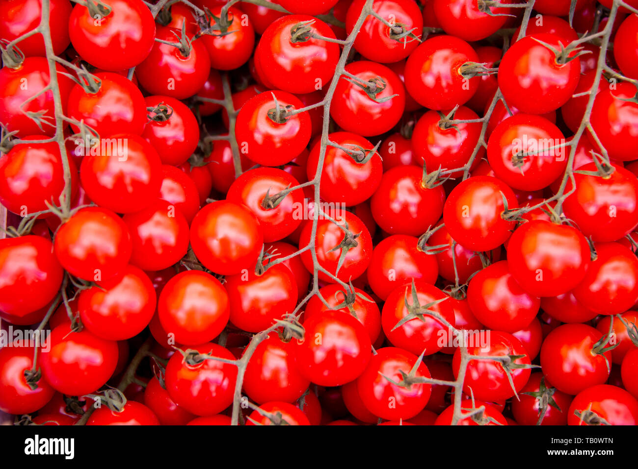Tomatoes at the market display stall Stock Photo - Alamy