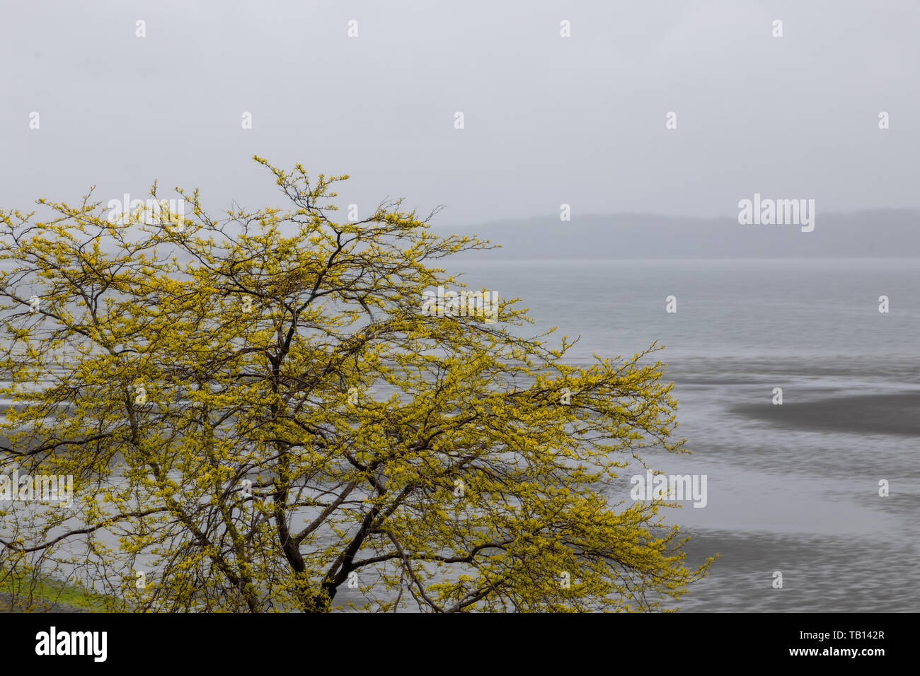 Grey Spring grey spring day by the sea Stock Photo - Alamy