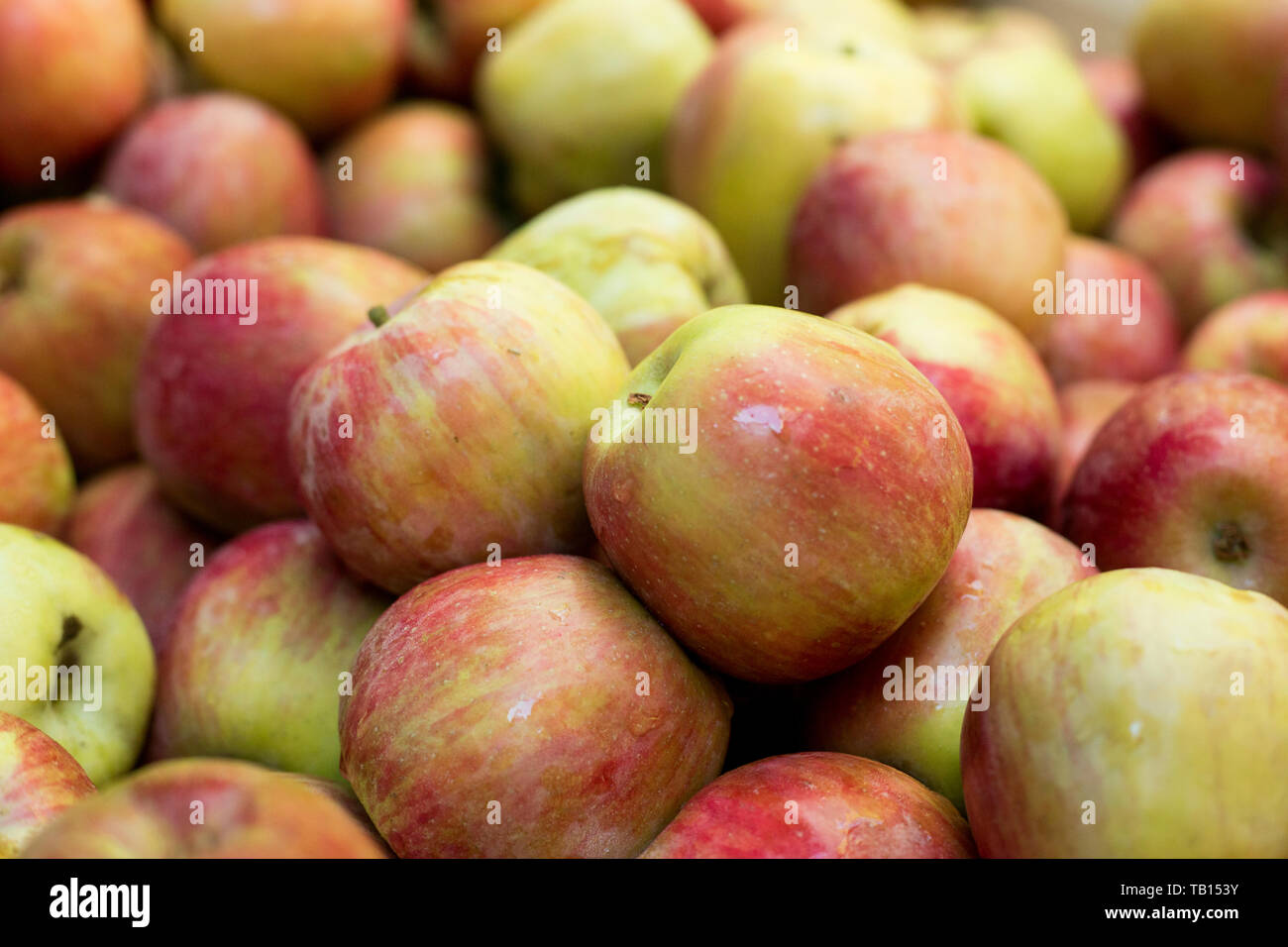 Bunch of gala apples for sale in maket. Stock Photo