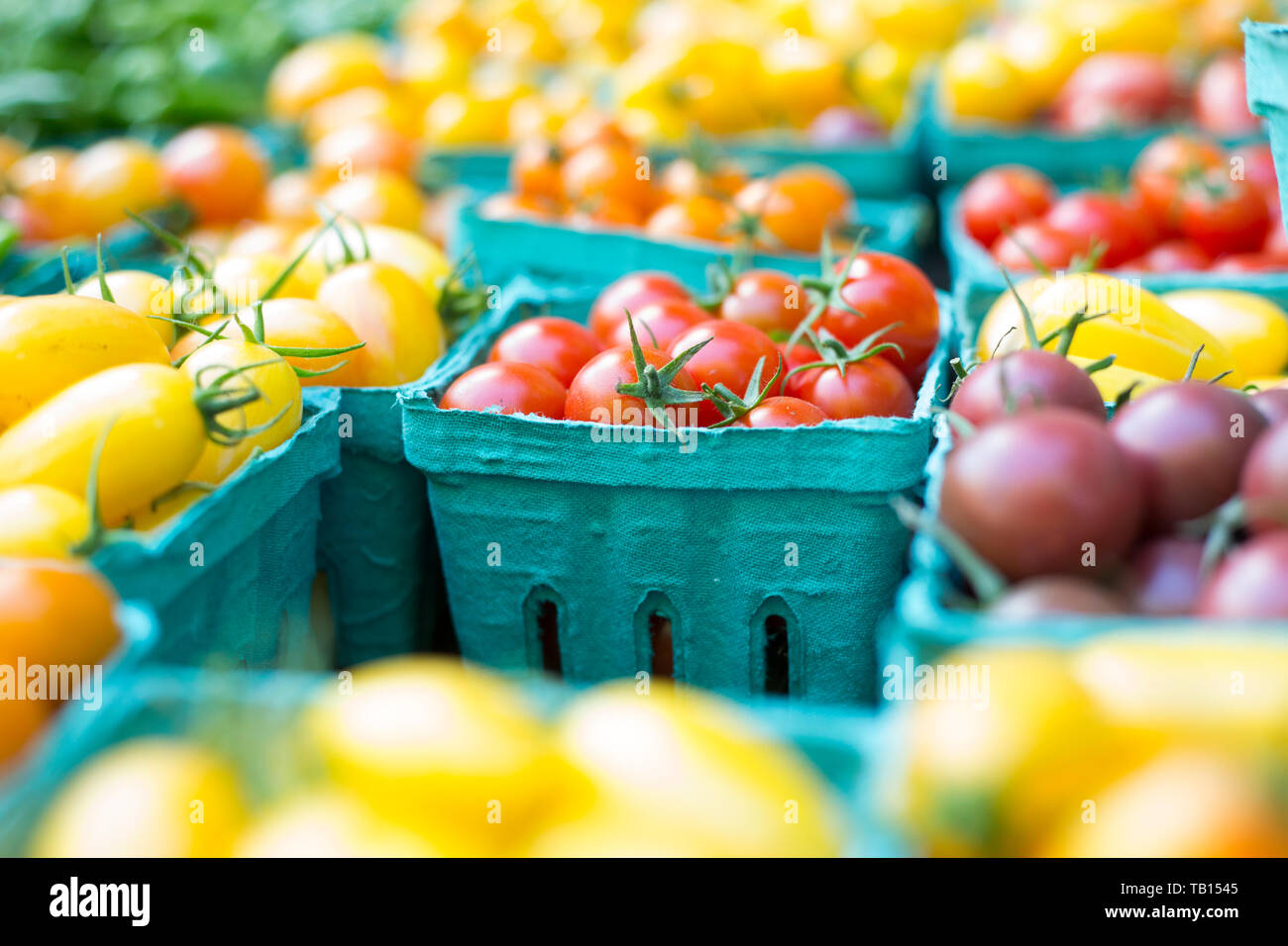 Containers of heirloom cherry tomatoes for sale at market. Stock Photo