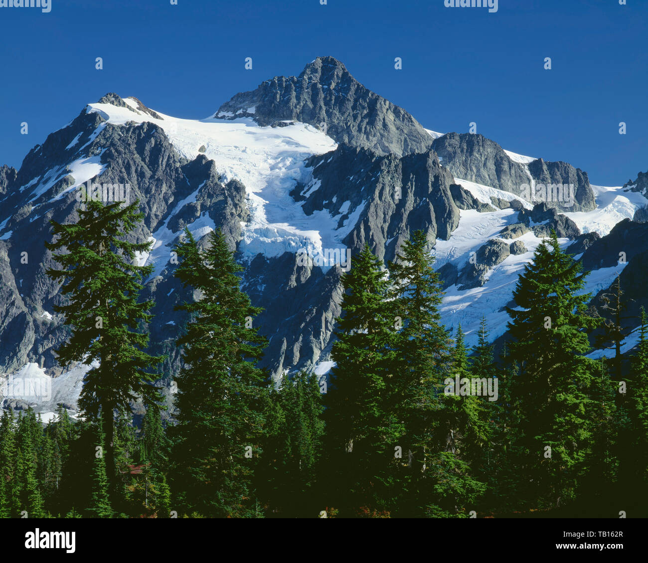 USA Washington West face of Mt - Usa Washington West Face Of Mt Shuksan In North Cascades National Park Viewed From Adjacent Mt Baker Snoqualmie National Forest TB162R 