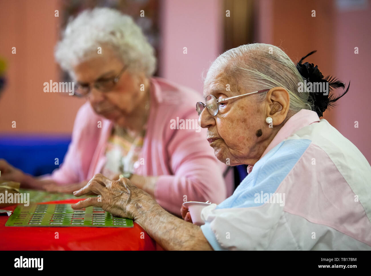 2 senior women at a senior center in Ardmore PA  playing bingo Stock Photo