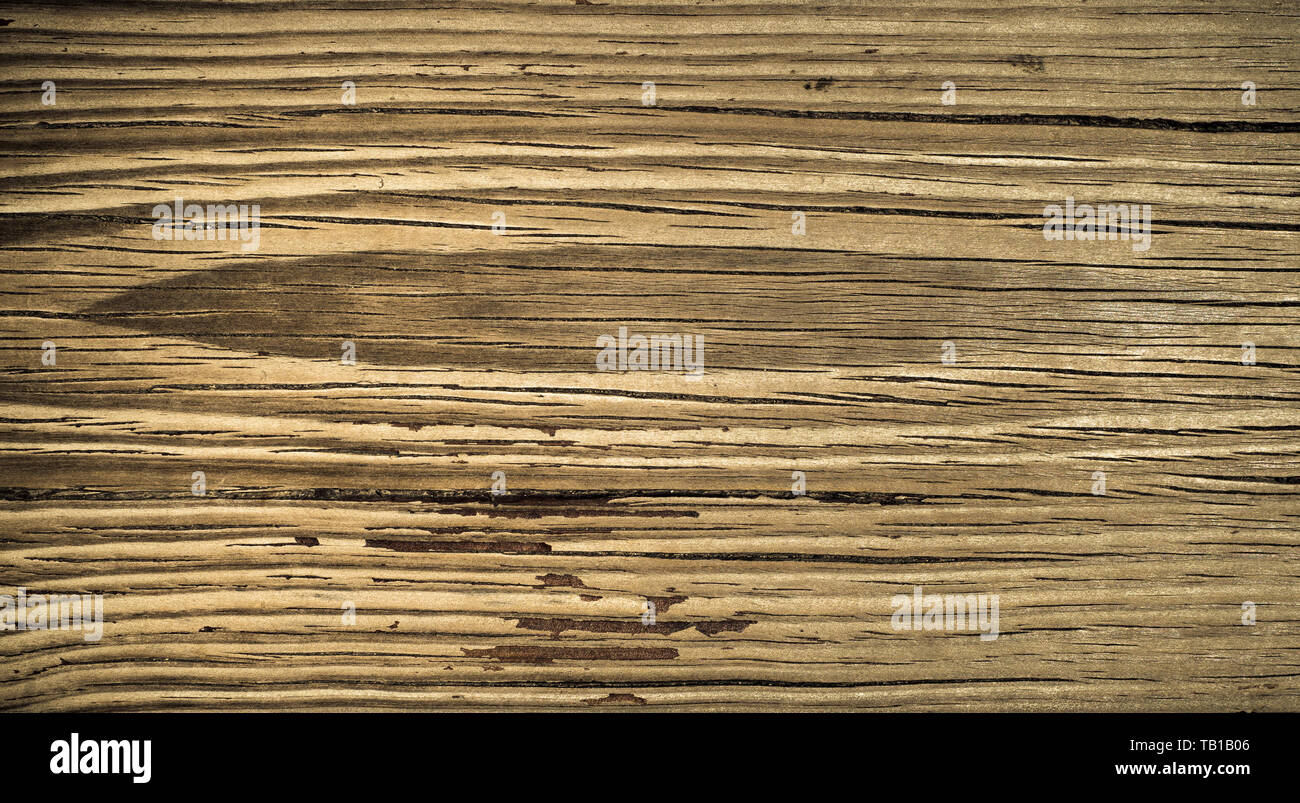 Old wood texture background, perfect natural pattern. Stock Photo