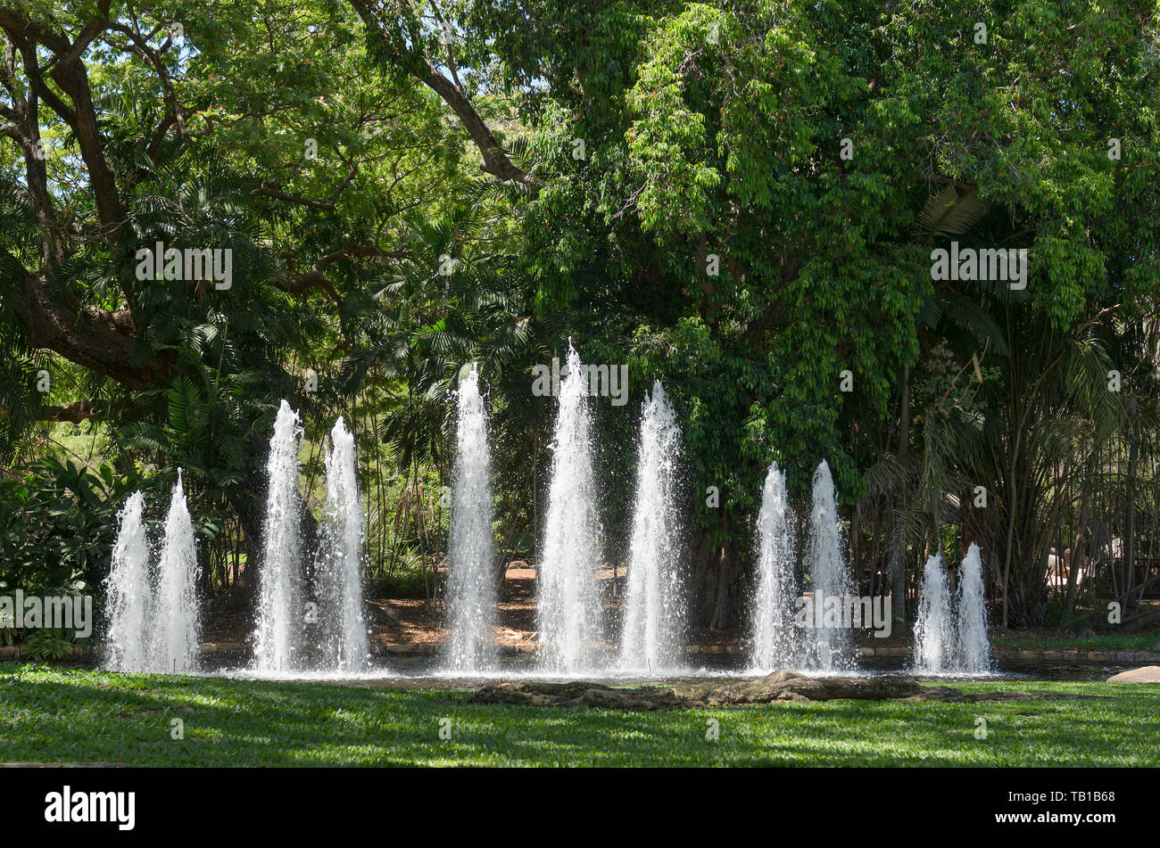 Darwin botanical garden hires stock photography and images Alamy