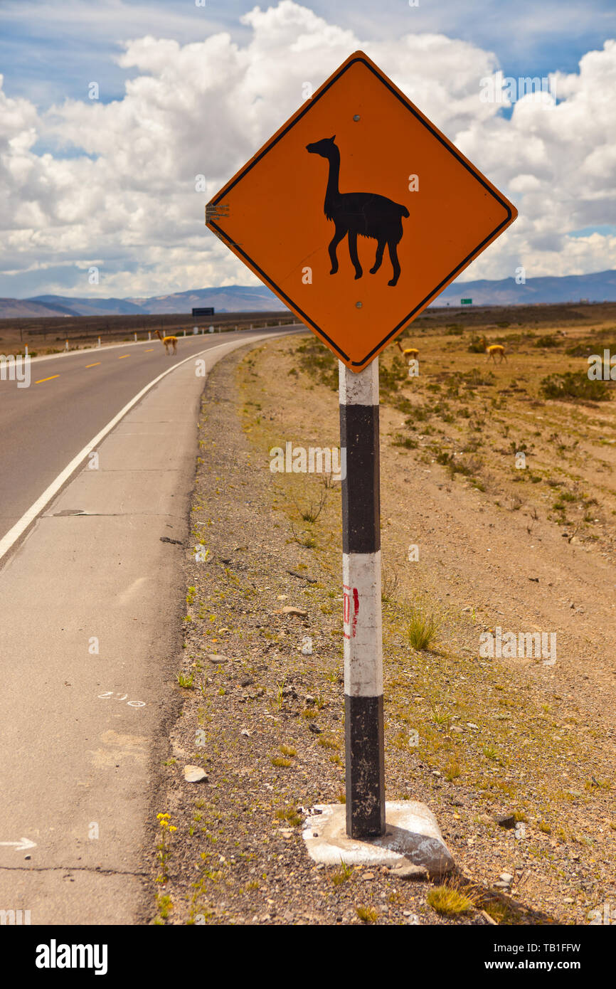 Beware of Llama crossing Stock Photo