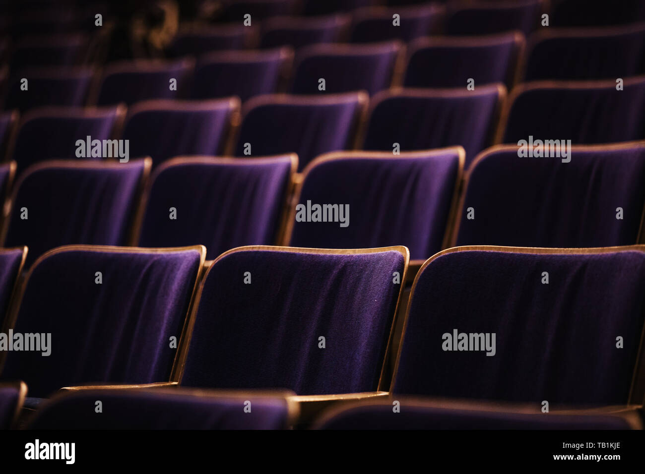 auditorium with seats, chairs in auditorium colored by spotlights Stock Photo Alamy