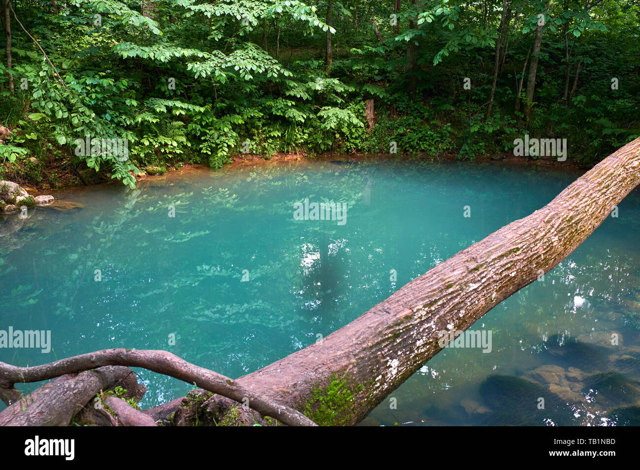blue lake in the middle of the forest Stock Photo - Alamy