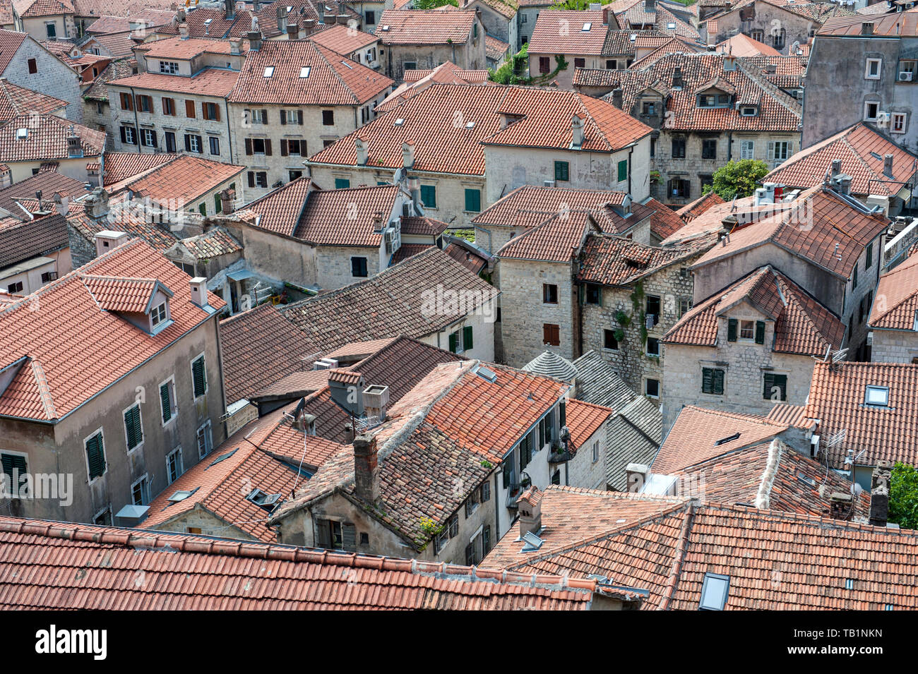 Looking down over the fortified port town of Kotor—a small Venetian-era ...