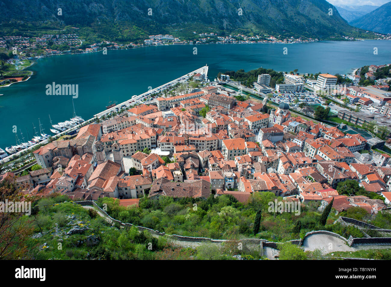 Looking down over the fortified port town of Kotor—a small Venetian-era ...