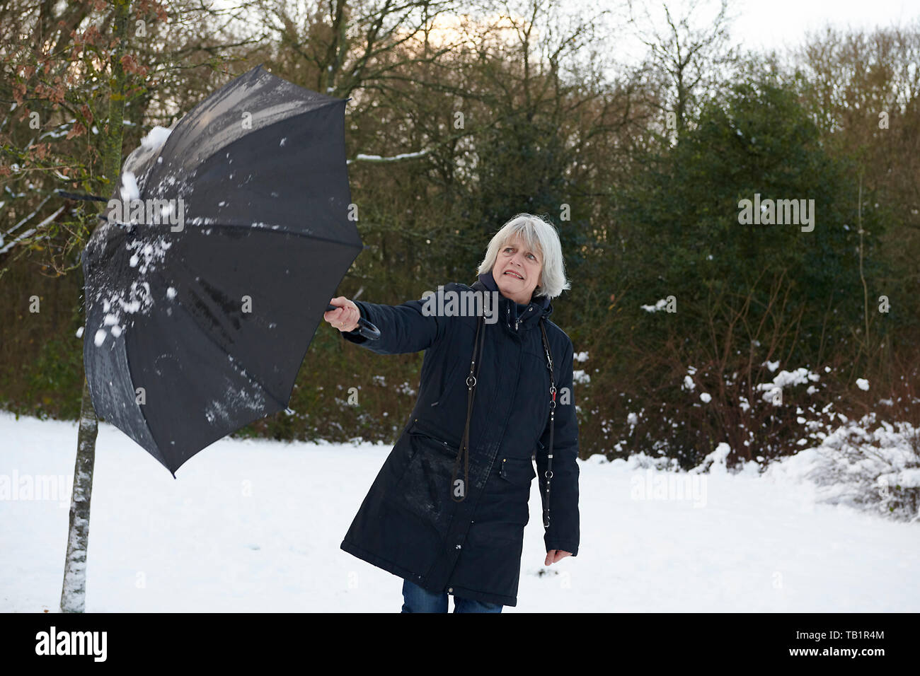 Portraits of healthy looking elderly woman standing in a park ...