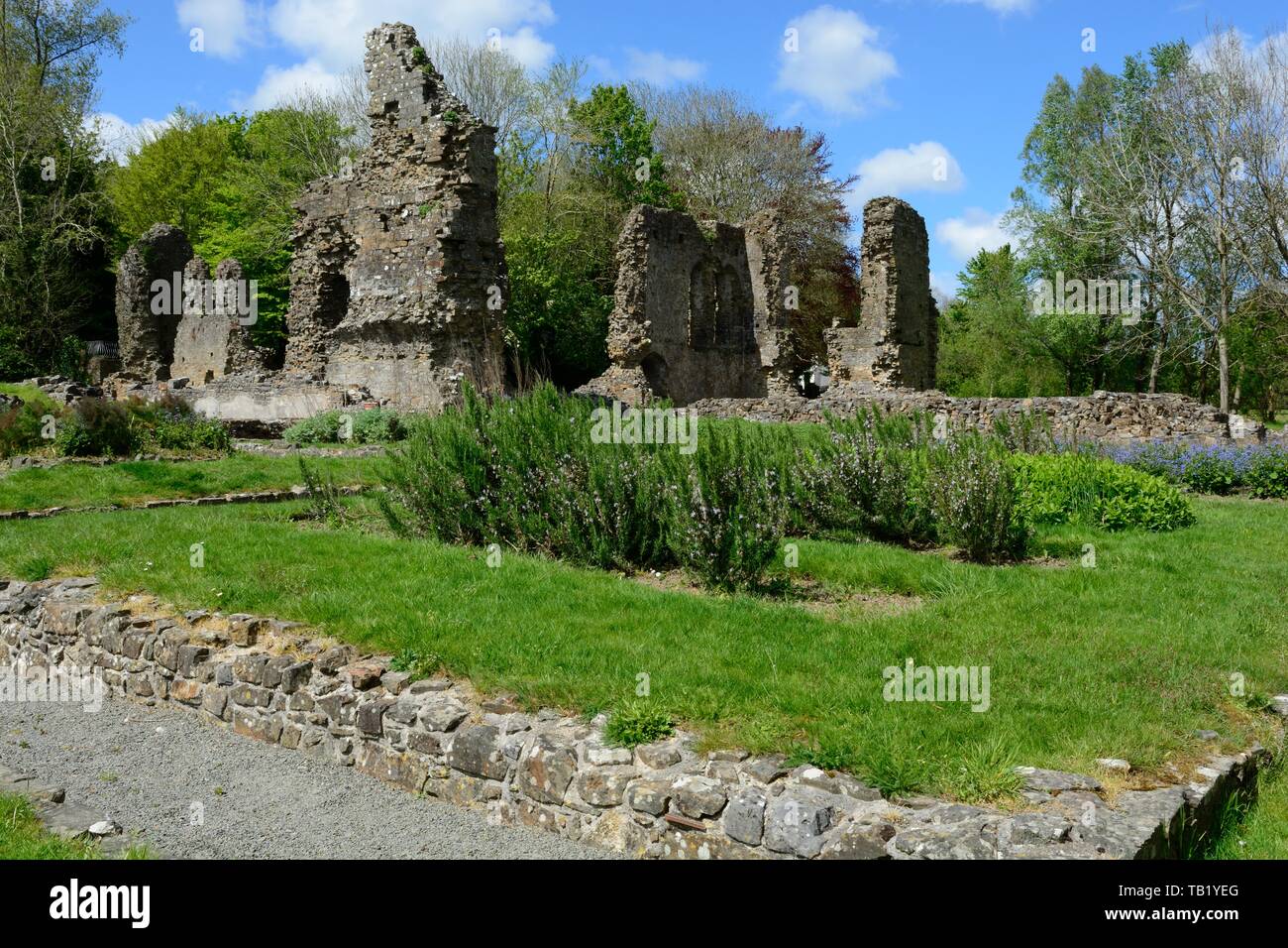 Haverfordwest Priory early 13th century Augustinian priory with the only remaining ecclesiastical medieval garden in Britain Pembrokeshire Wales UK Stock Photo