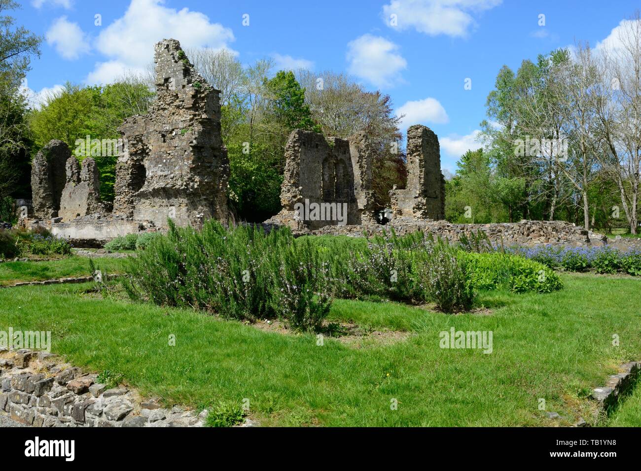 Haverfordwest Priory early 13th century Augustinian priory with the only remaining ecclesiastical medieval garden in Britain Pembrokeshire Wales UK Stock Photo