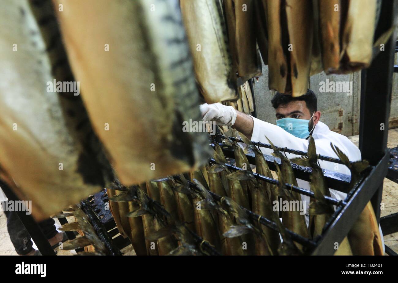 Rafah, The Gaza Strip, Palestine. 28th May, 2019. Palestinian workers prepare mackerel for smoking before selling for Eid al-Fitr holiday, which marks the end of the Muslim fasting month of Ramadan, in Rafah refugee camp, southern Gaza Strip, 28May 2019. Muslims around the world celebrate the holy month of Ramadan by praying during the night time and fasting between sunrise and sunset Credit: Mahmoud Khattab/Quds Net News/ZUMA Wire/Alamy Live News Stock Photo