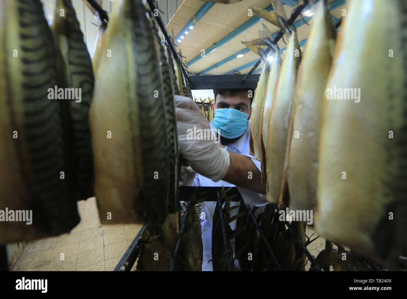 Rafah, The Gaza Strip, Palestine. 28th May, 2019. Palestinian workers prepare mackerel for smoking before selling for Eid al-Fitr holiday, which marks the end of the Muslim fasting month of Ramadan, in Rafah refugee camp, southern Gaza Strip, 28May 2019. Muslims around the world celebrate the holy month of Ramadan by praying during the night time and fasting between sunrise and sunset Credit: Mahmoud Khattab/Quds Net News/ZUMA Wire/Alamy Live News Stock Photo