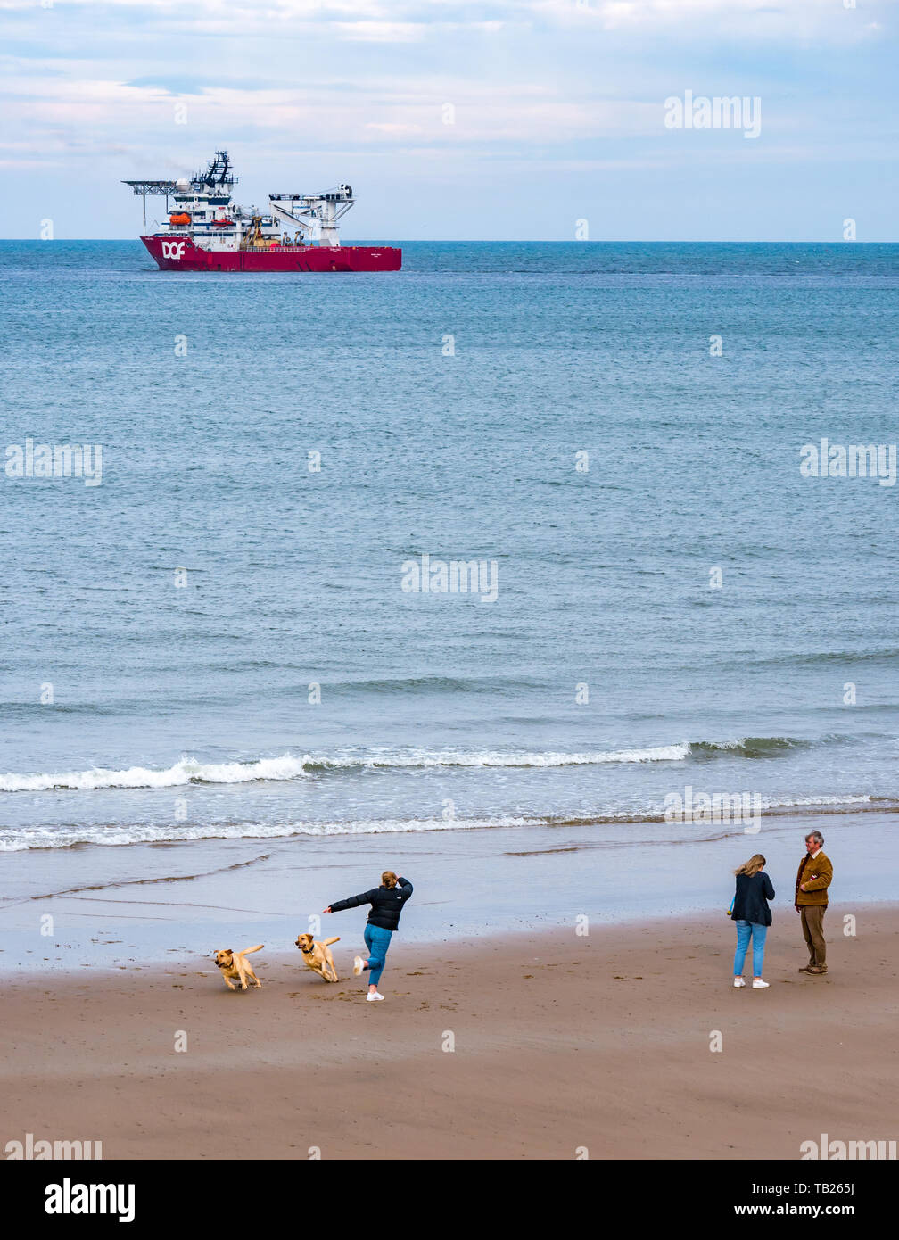 Aberdeen, Scotland, United Kingdom, 29th May 2019. UK Weather: People exercise two Golden Labradors on the beach near Footdee Stock Photo