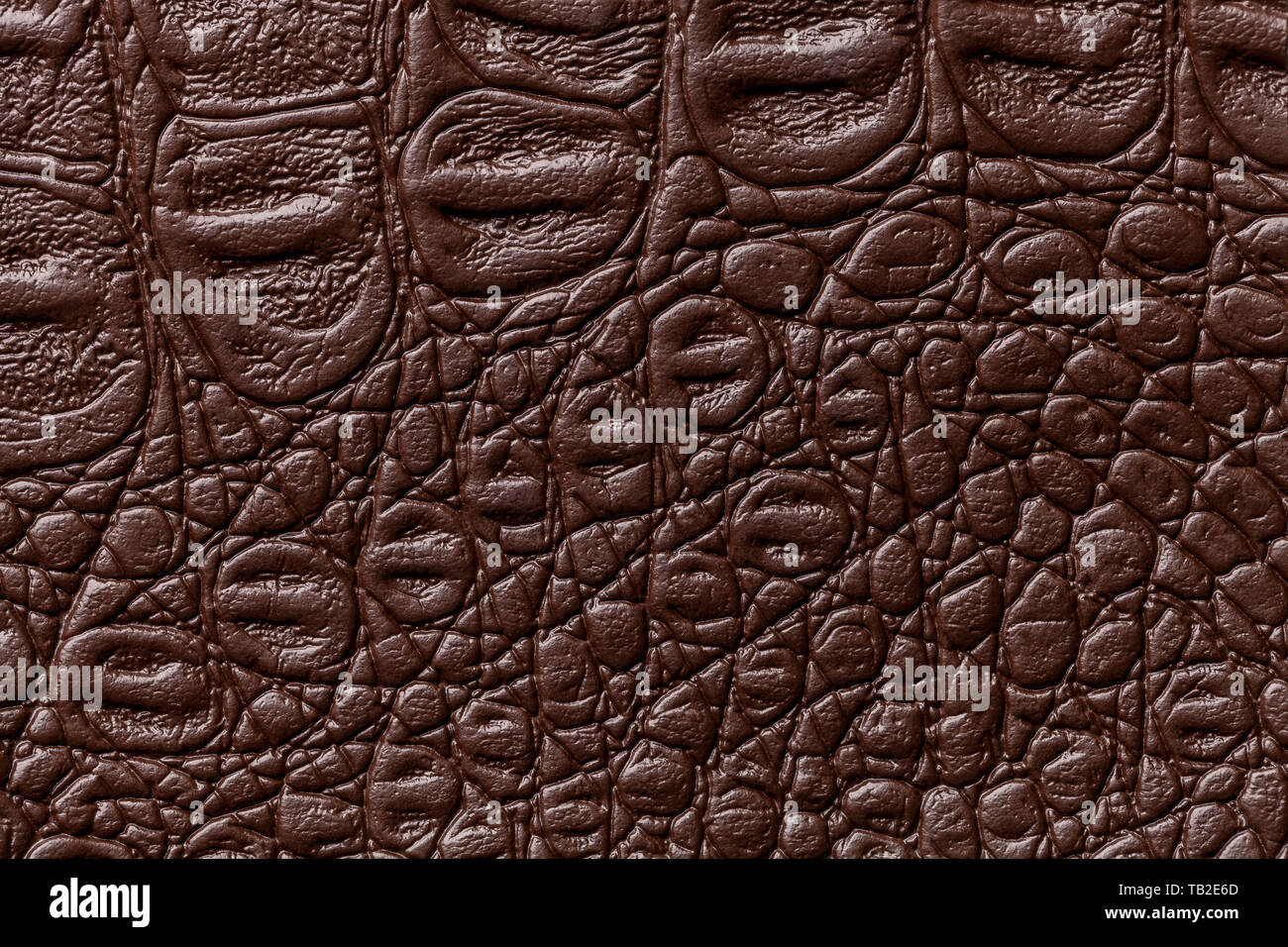 Brown leather texture background, closeup. Dark umber reptile skin, macro.  Nature structure of textile. Luxury crocodile decorative backdrop Stock  Photo - Alamy