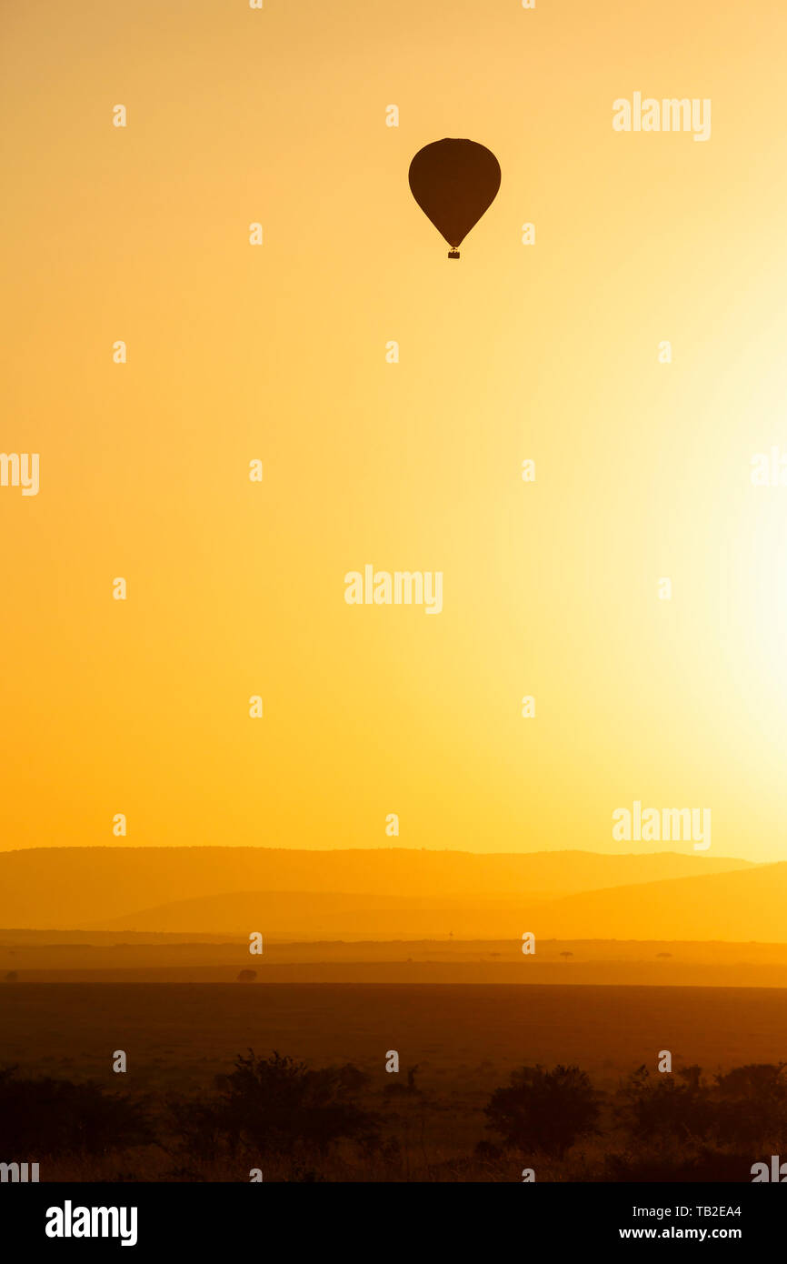 Hot air balloon at sunrise over the African savanna Stock Photo - Alamy