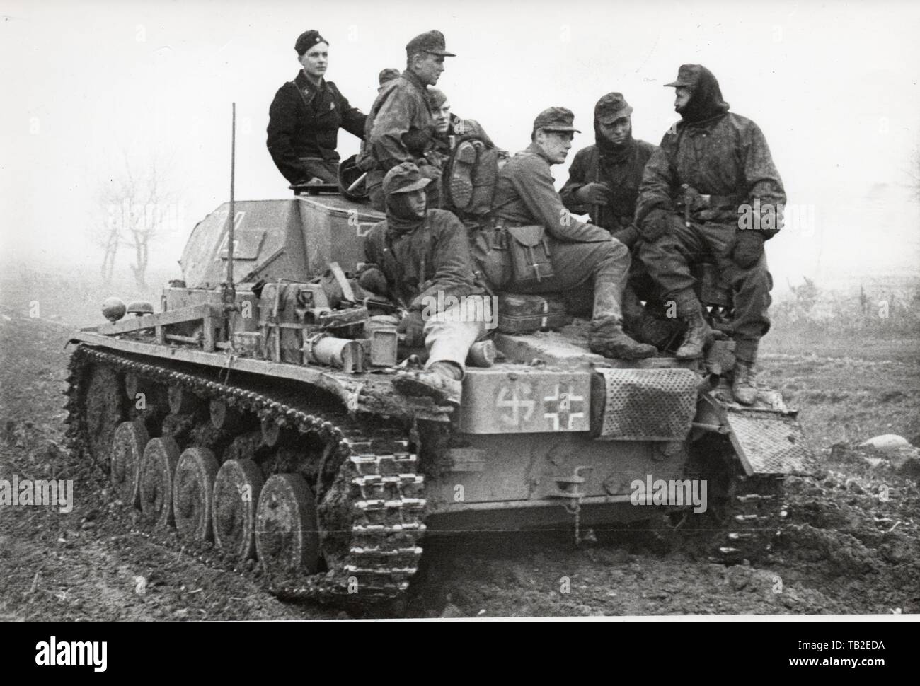 Wiking Division SS Grenadiers ride on Panzer 1942 Stock Photo