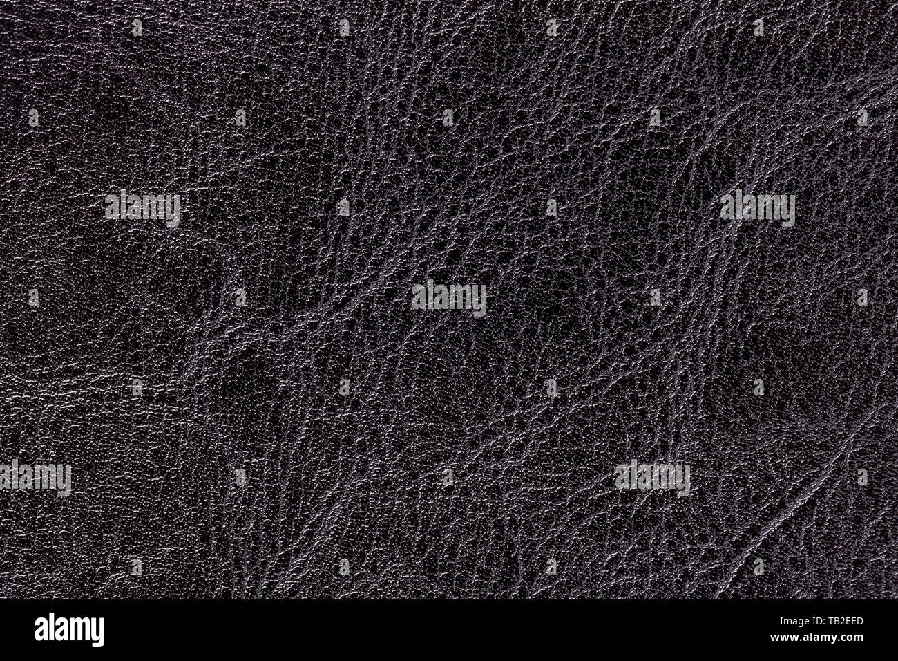 Dark grey leather texture background, closeup. Black cracked backdrop from wrinkle skin, structure of textile. Stock Photo