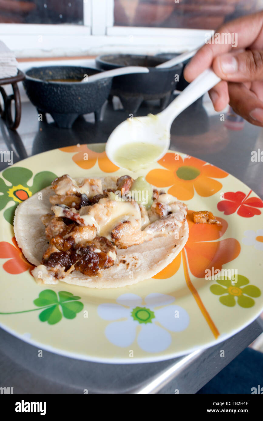 Catacan pork taco at Wayan'e taco stand in Merida, Yucatan, Mexico ...