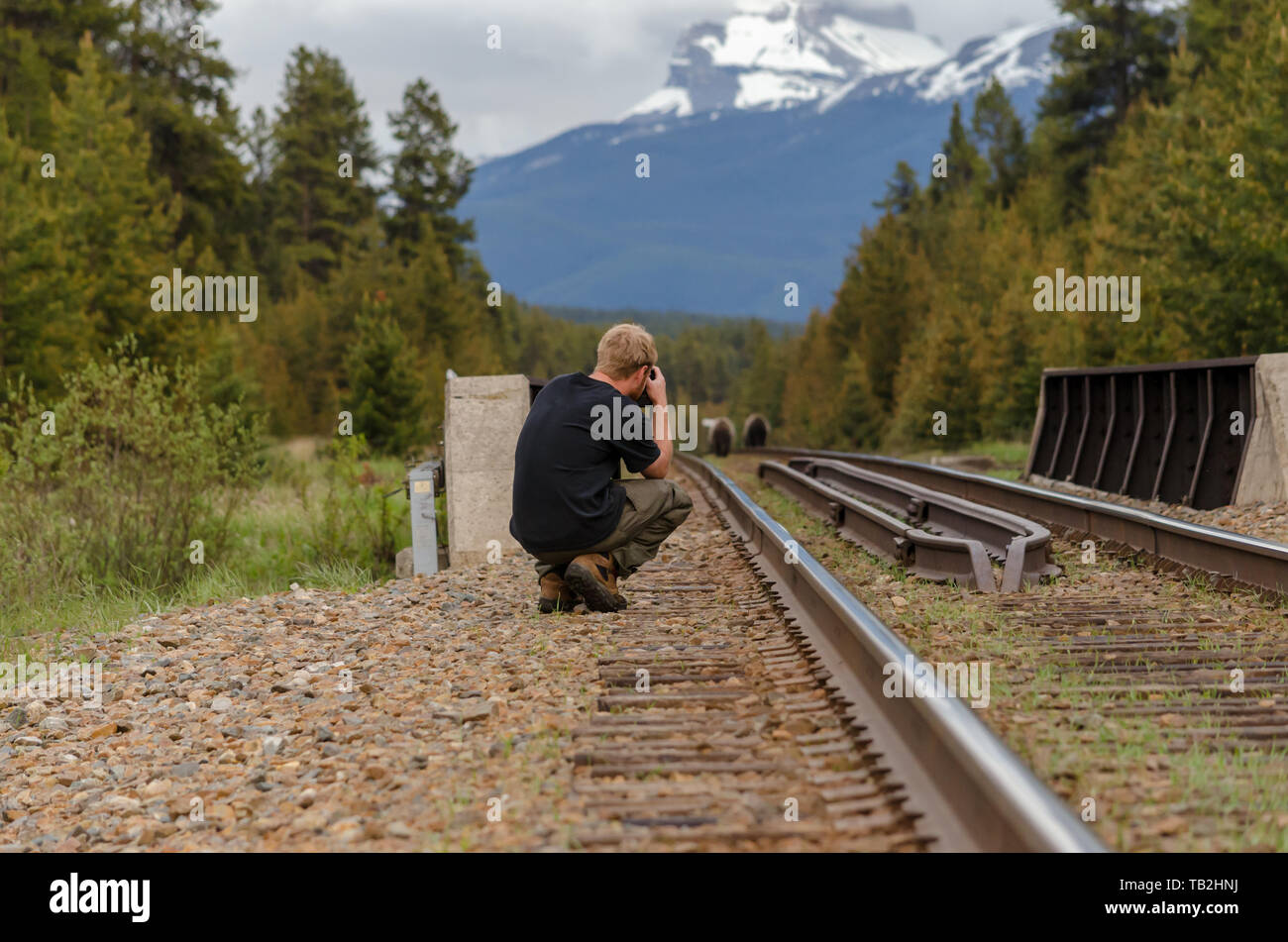 A photographer take a photo of two grizzly bears on the rail tracks Stock Photo