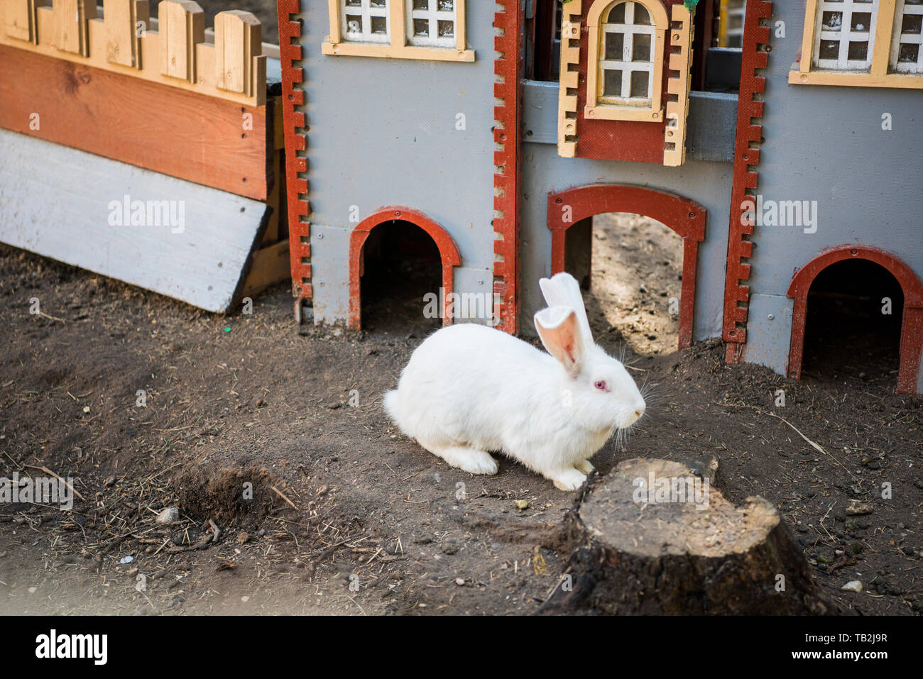 Trusisu Karaliste Rabbit Kingdom Latvia April Of 19 Stock Photo Alamy Trusisu Karaliste Rabbit Kingdom Latvia April Of 19 Stock Photo Alamy