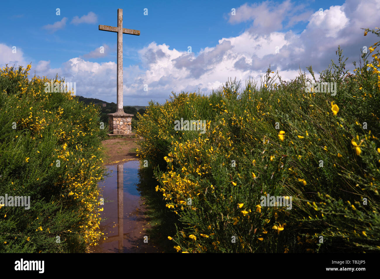 Picture of a cross with it's reflection in a puddle backed by a blue sky with culumus clouds and gorse bushes in bloom. Stock Photo