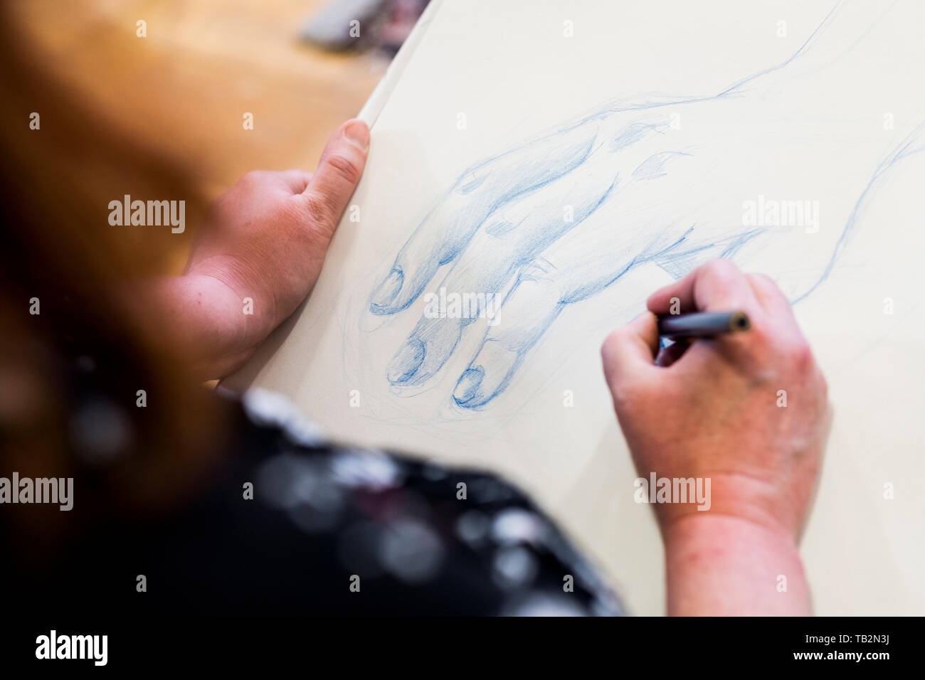 High angle close up of artist drawing human hand. Stock Photo