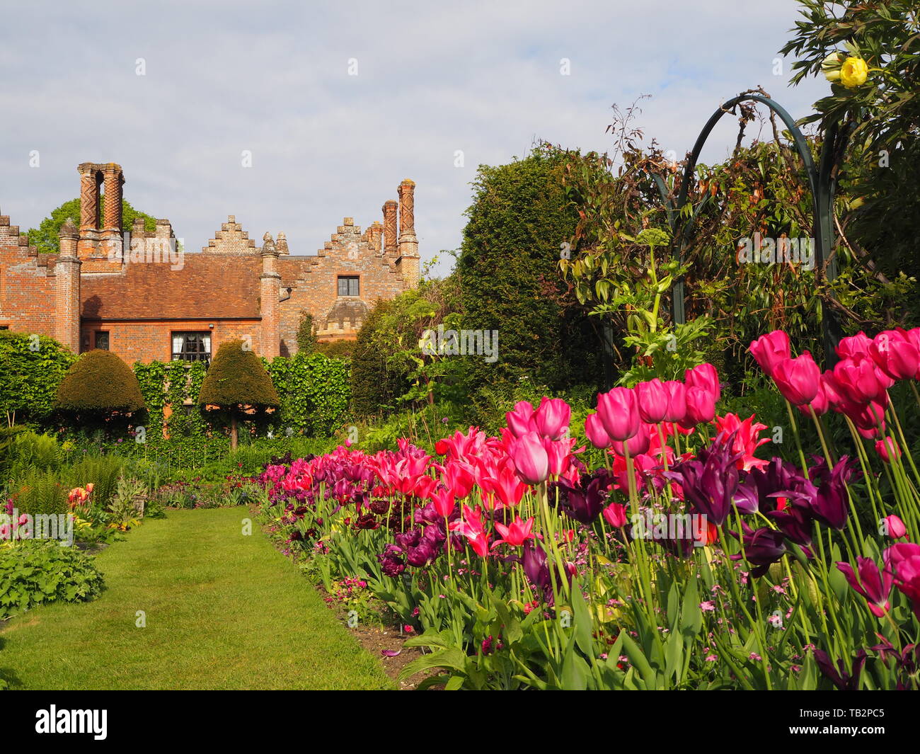 Chenies Manor sunken garden tulip display looking towards the Tudor