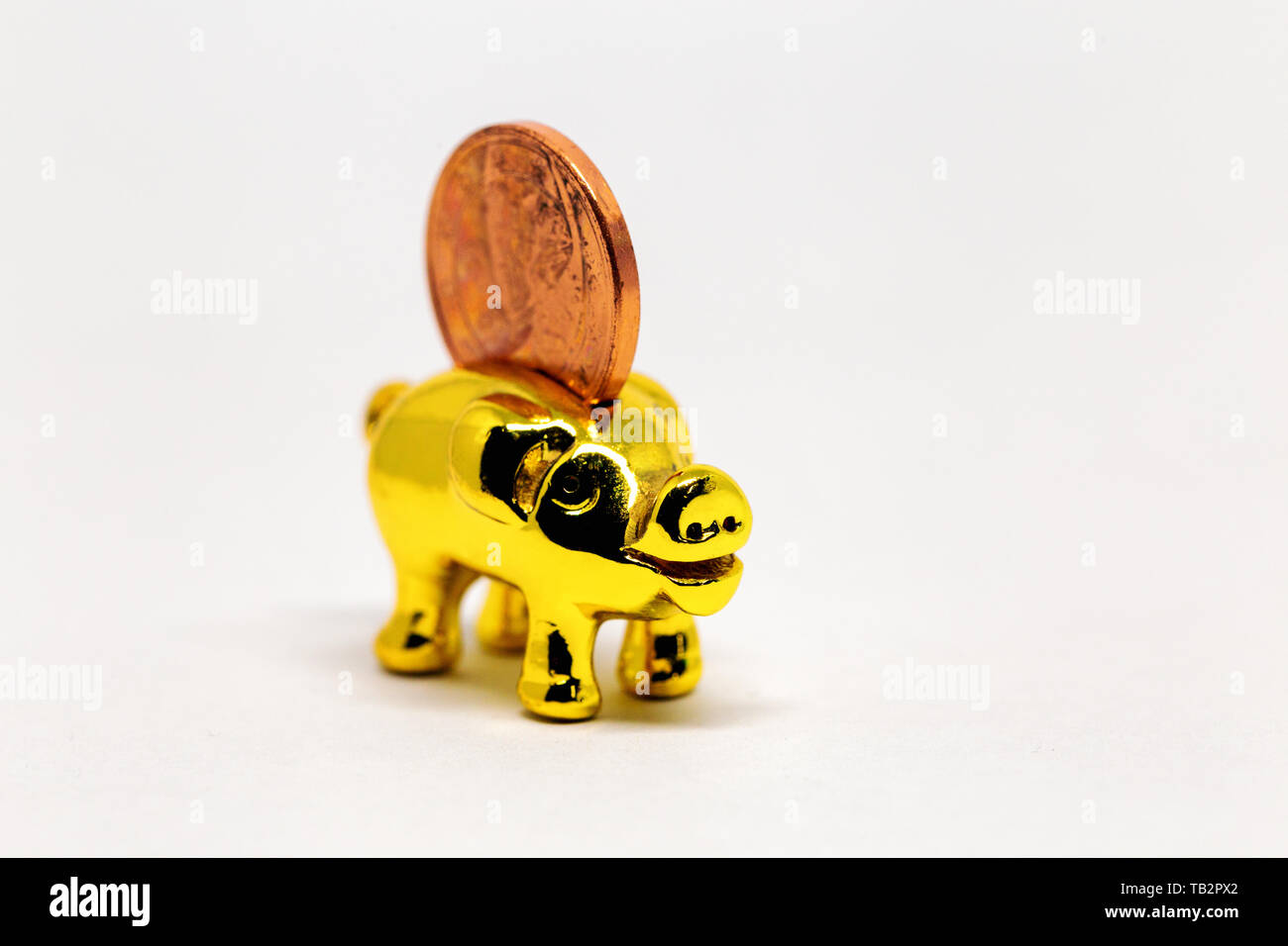 a golden piggy bank with a euro cent Stock Photo