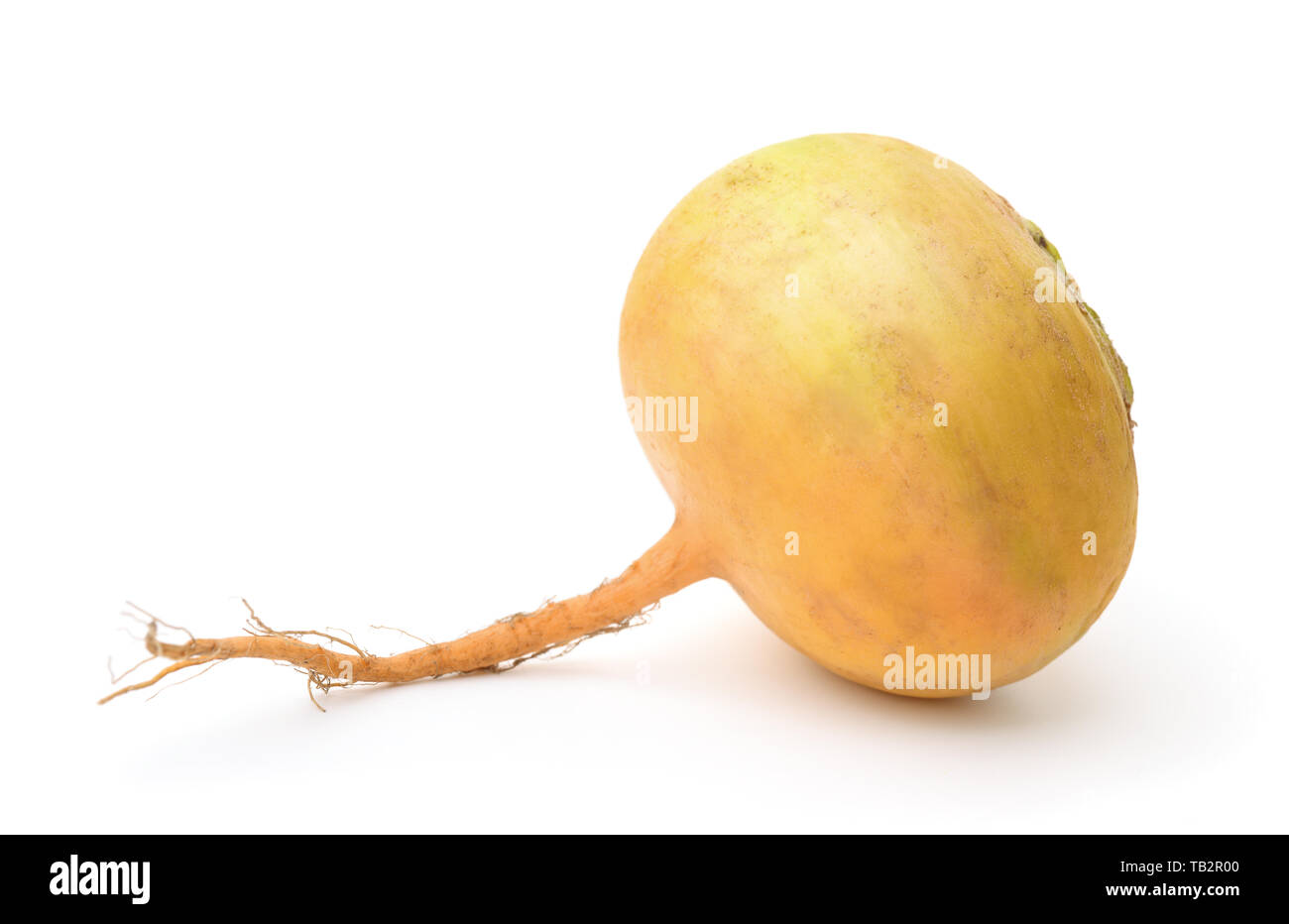 Ripe yellow turnip isolated on white Stock Photo