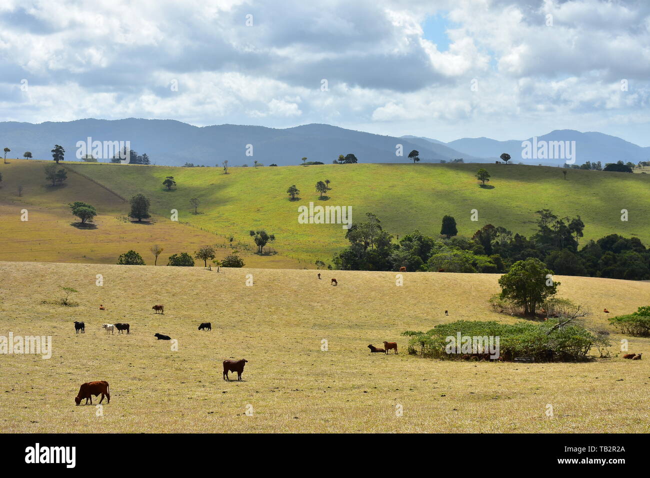Atherton tablelands queensland hires stock photography and images Alamy