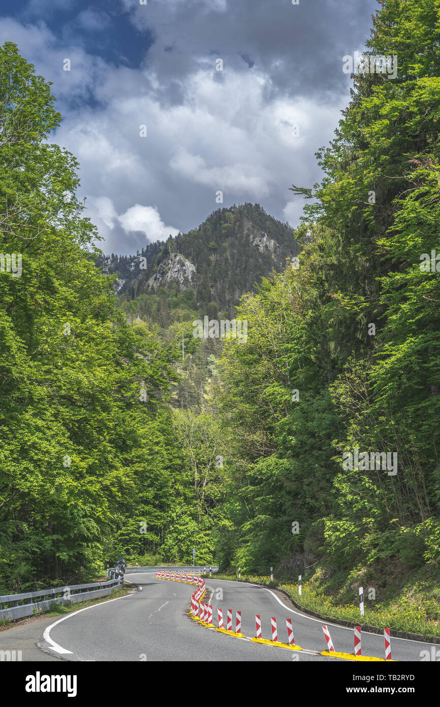 curvy asphalt road in the forest at alps Stock Photo