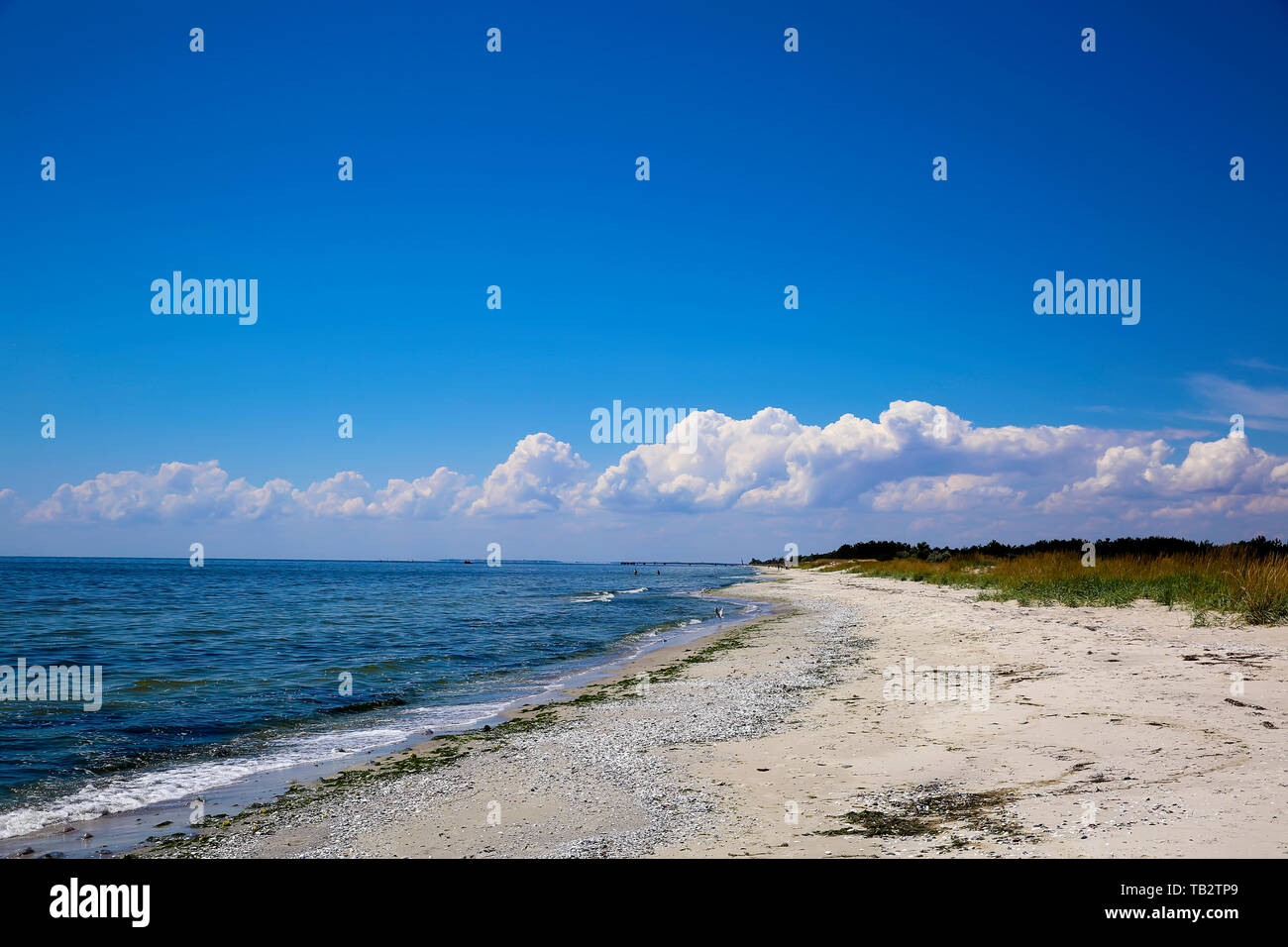 Landscape of the sea coast beach Stock Photo