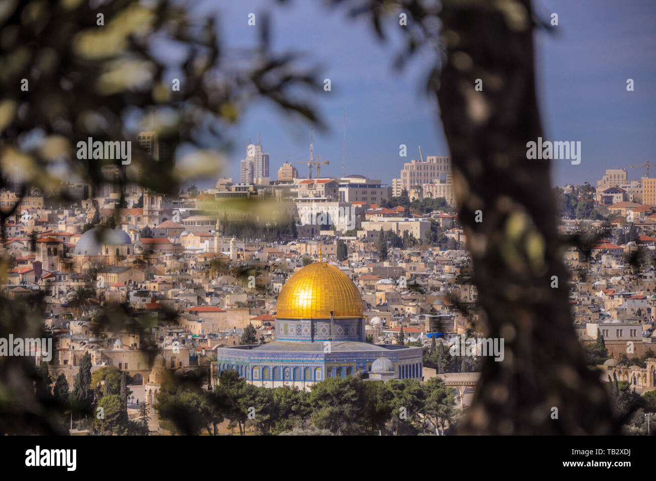 Jerusalem old town seen from the mount of olives Stock Photo - Alamy
