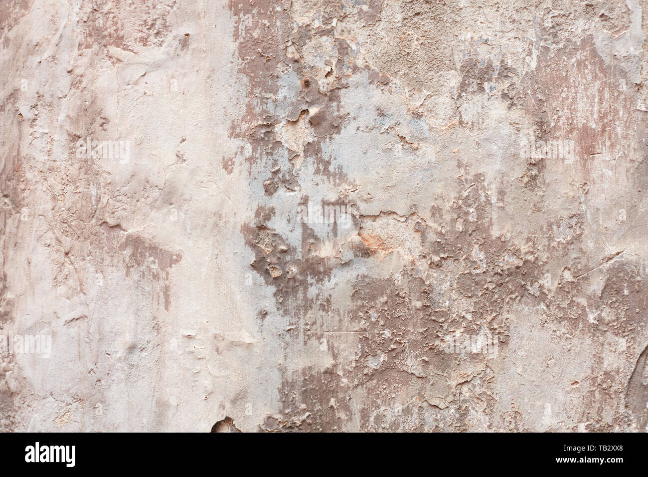 Old beige chipped wall with humidity stains texture background Stock Photo