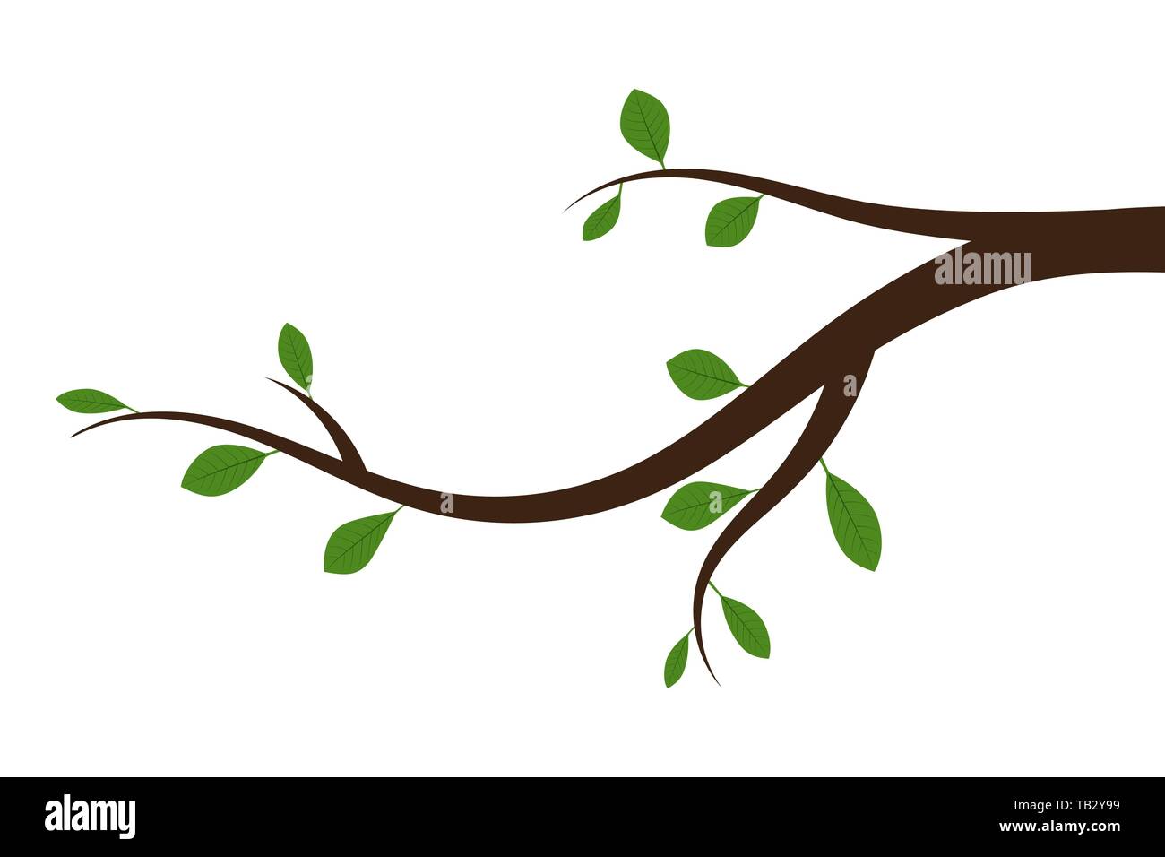 Tree branch with green leaves. Vector illustration. Abstract branch with leaves, isolated. Stock Vector