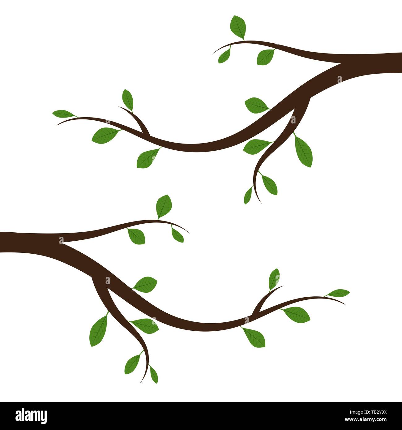 Tree branch with green leaves. Vector illustration. Abstract branch