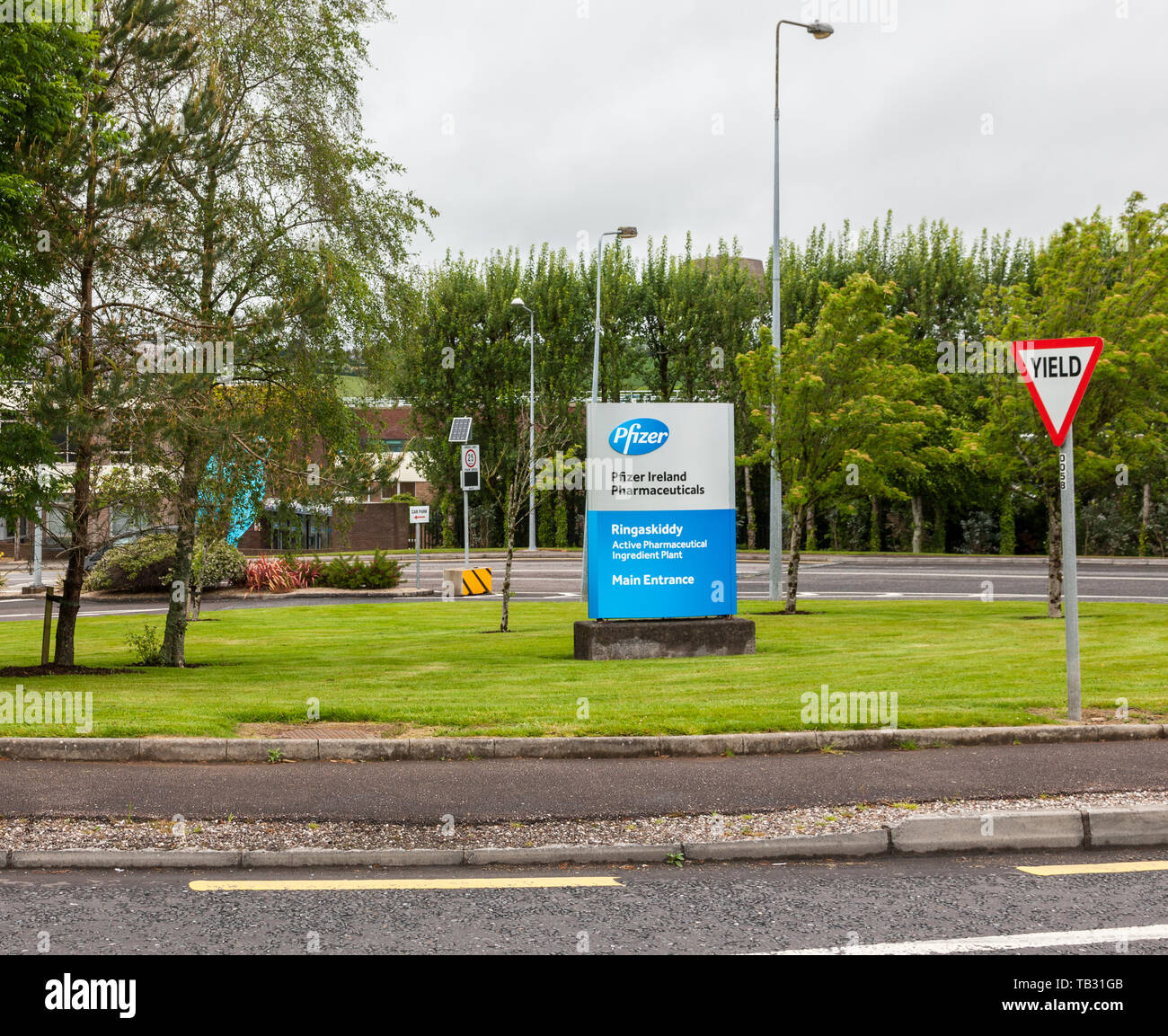 Ringaskiddy, Cork, Ireland. 29th May, 2019. Pfizer Pharmaceuticals are this month marking their 50th anniversary in Ireland. Employment has grown from Stock Photo