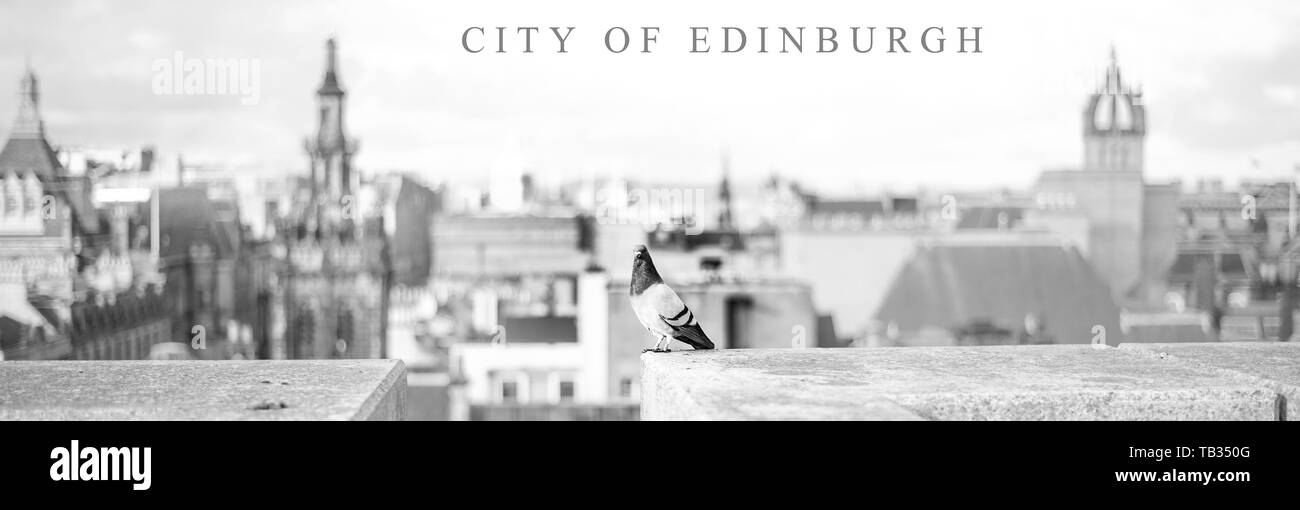 Edinburgh city view panorama, Scotland Stock Photo