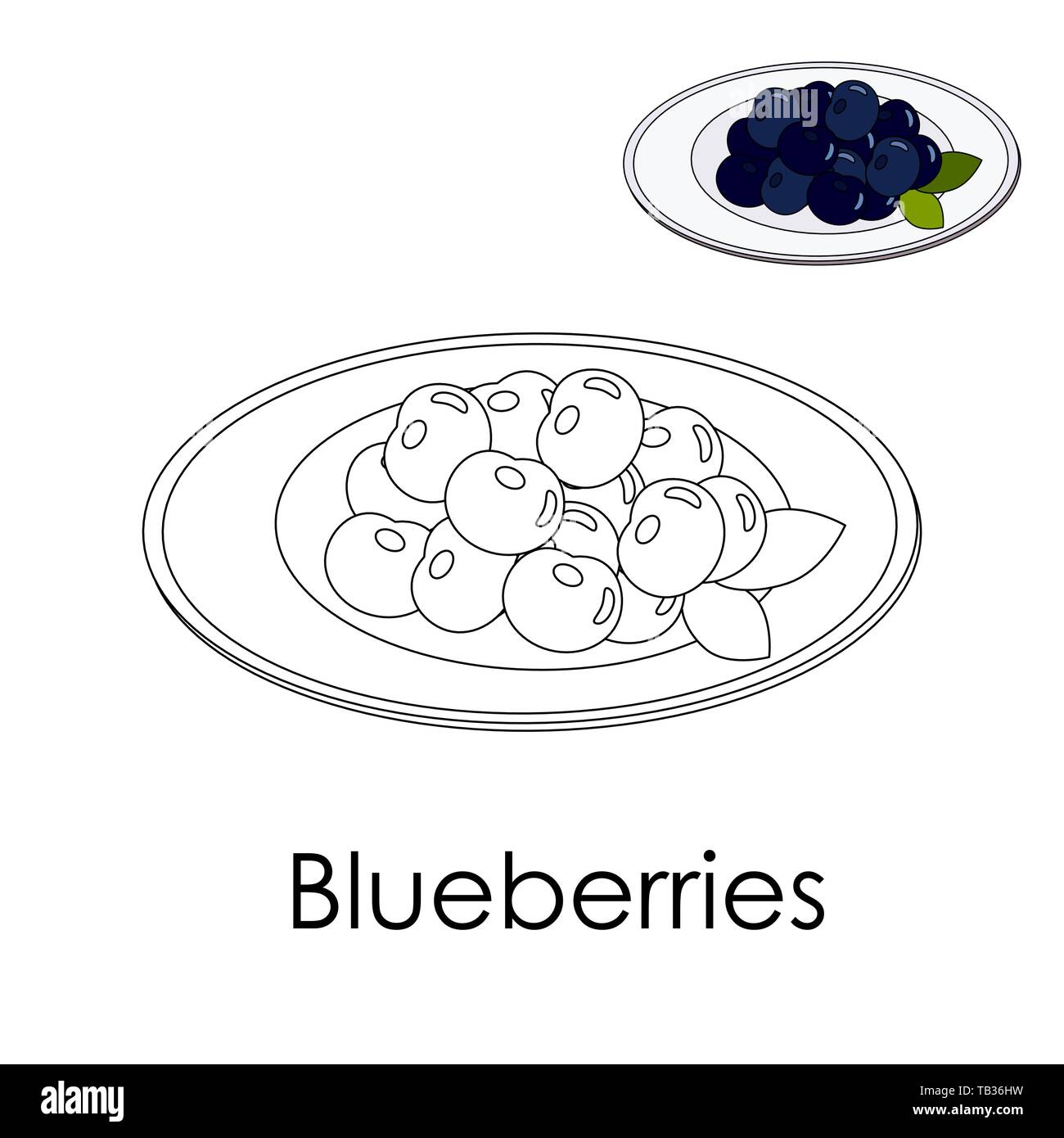 Coloring Book Forest Blueberries On A Plate Color Page Whith Sample Berries With Leaves Monochrome Illustration Poster Print For Activity Kid Educa Stock Vector Image Art Alamy