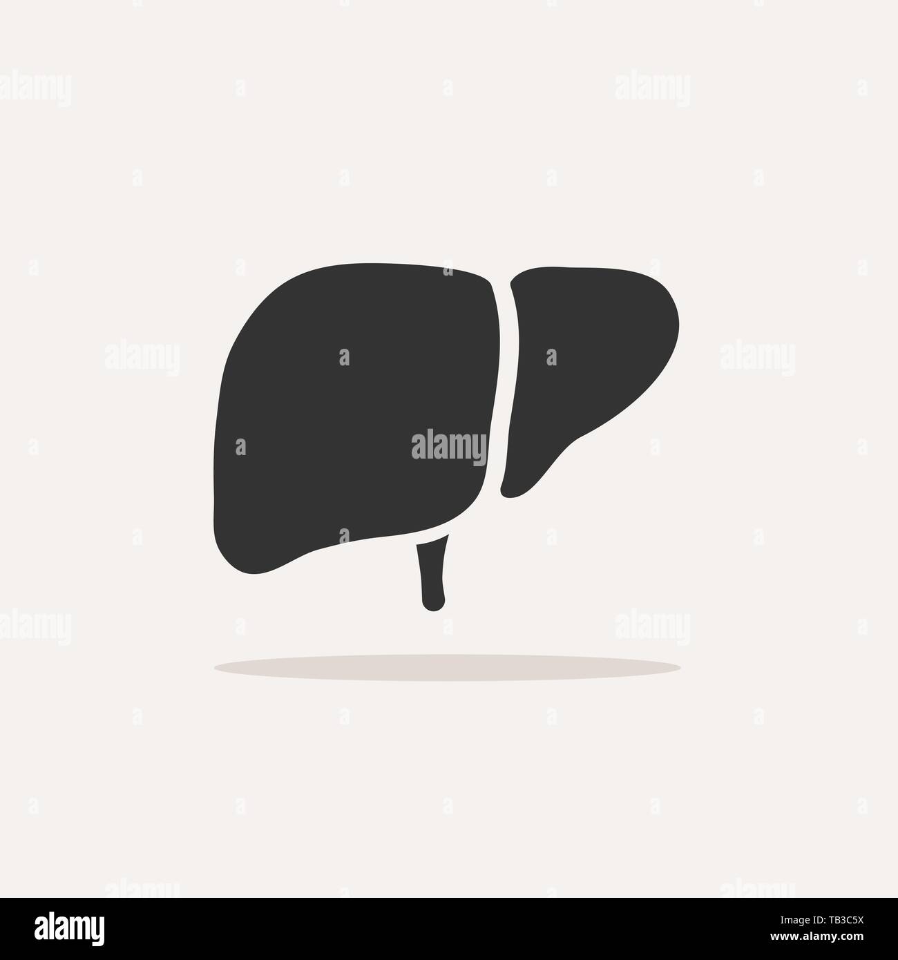 Liver icon with shadow on beige background. Vector illustration Stock Vector