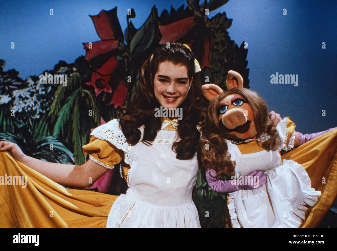 Brooke Shields Alice In Wonderland Brooke Shields Alice In Wonderland