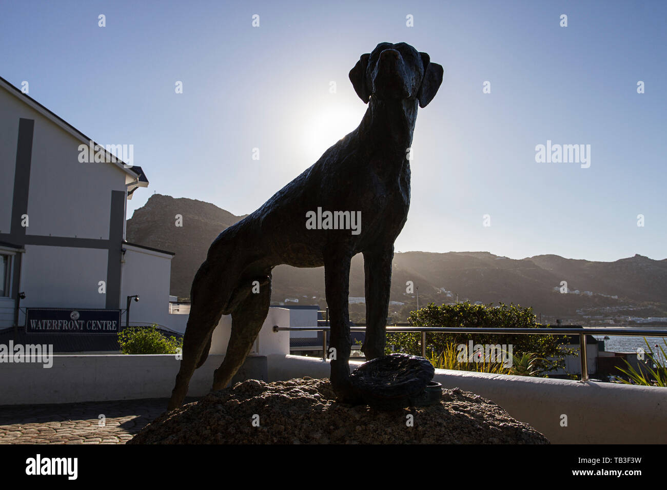 Statue of Just Nuisance (1937 1944) in Simon's Town, Cape Town, South