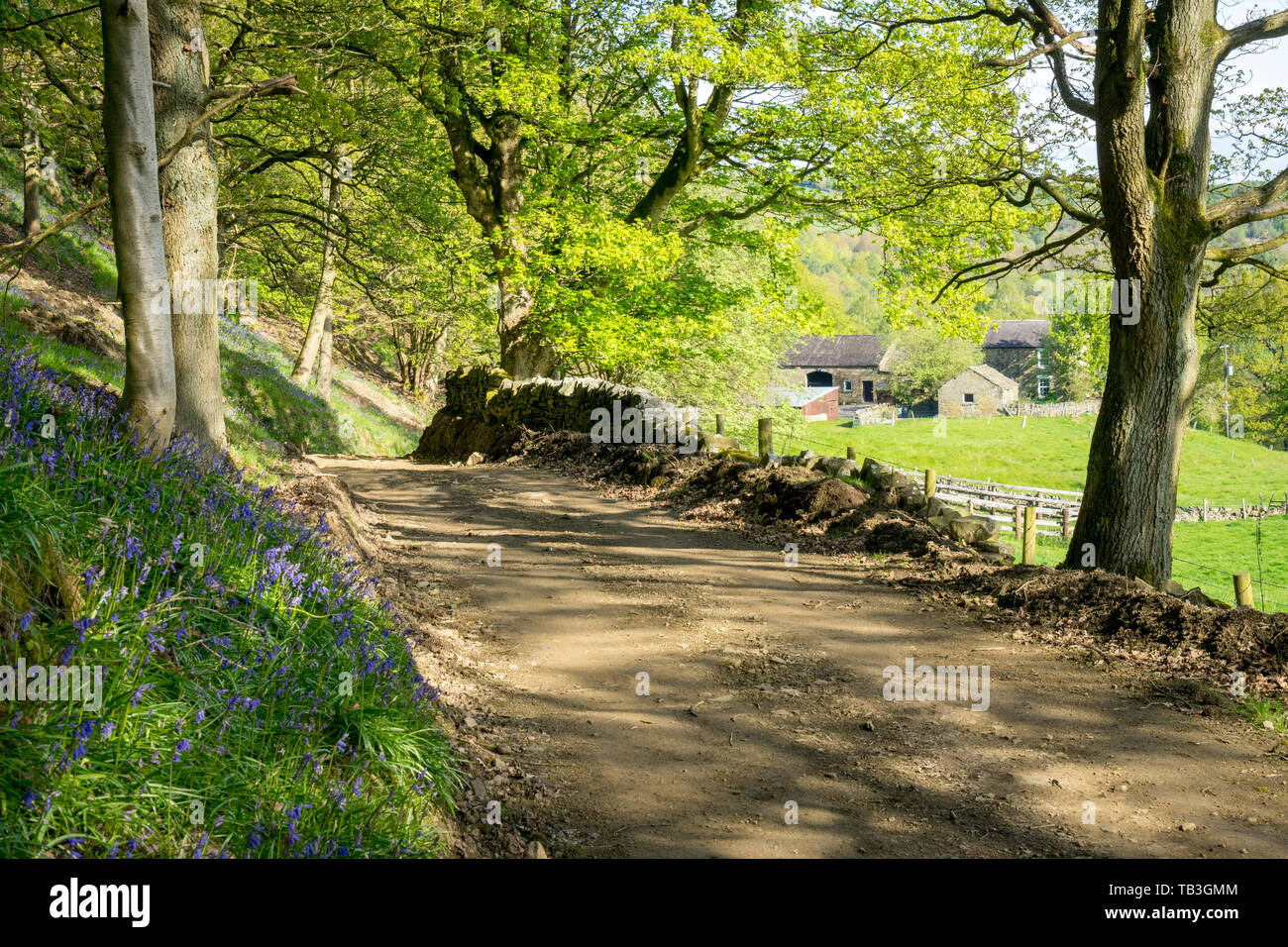 Trunce Farm, Green Moor, Yorkshire, England, UK Stock Photo Alamy