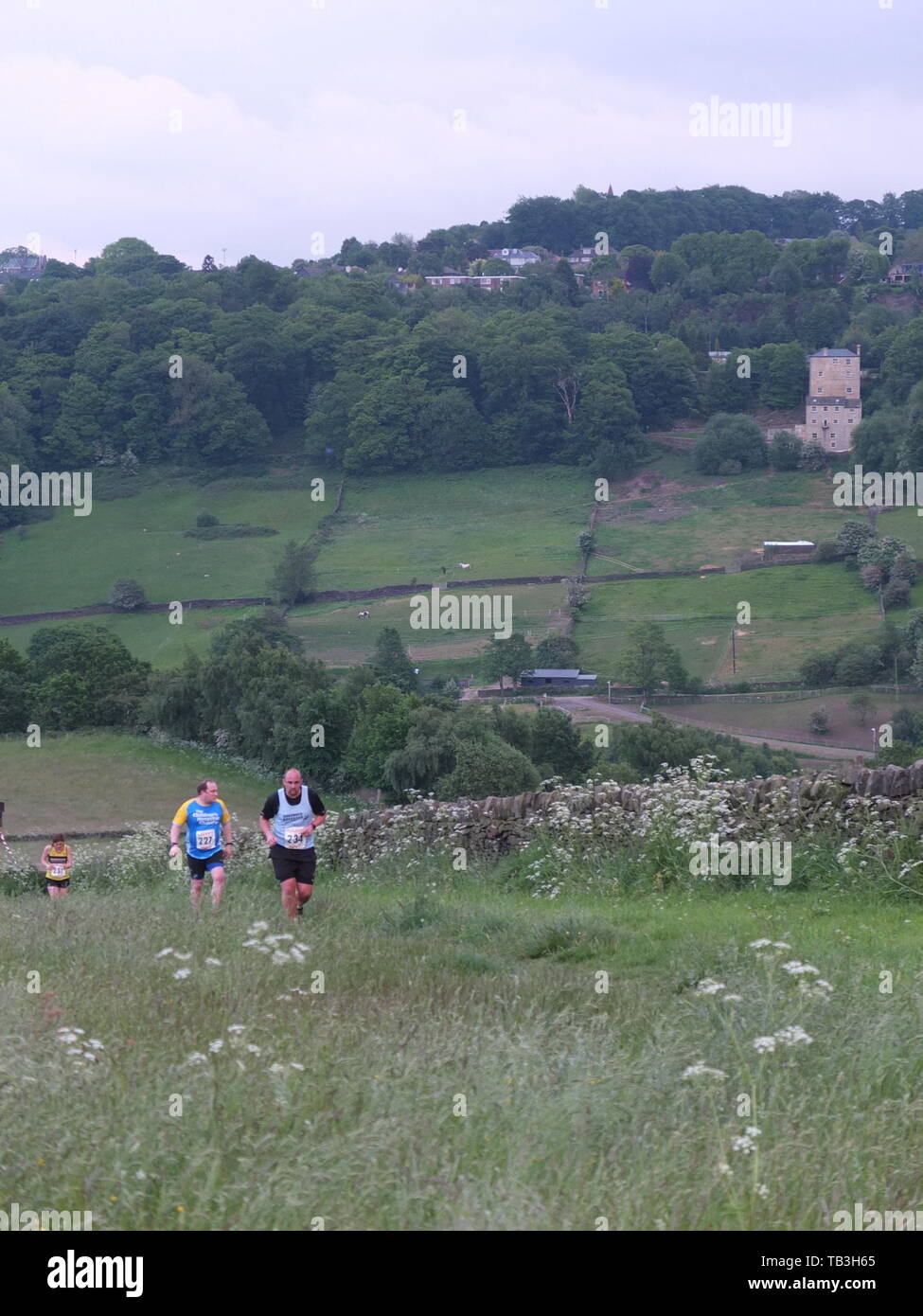 Runners in the Hallam Chase from Crosspool in Sheffield to Stannington, claimed as oldest continuously-run fell race in the world dating back to 1862. Stock Photo