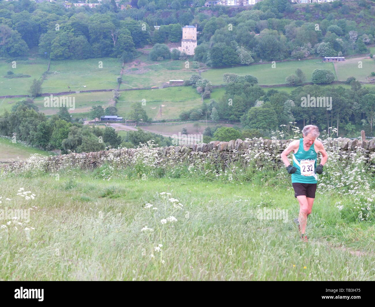 Runner in the Hallam Chase from Crosspool in Sheffield to Stannington, claimed as oldest continuously-run fell race in the world dating back to 1862. Stock Photo