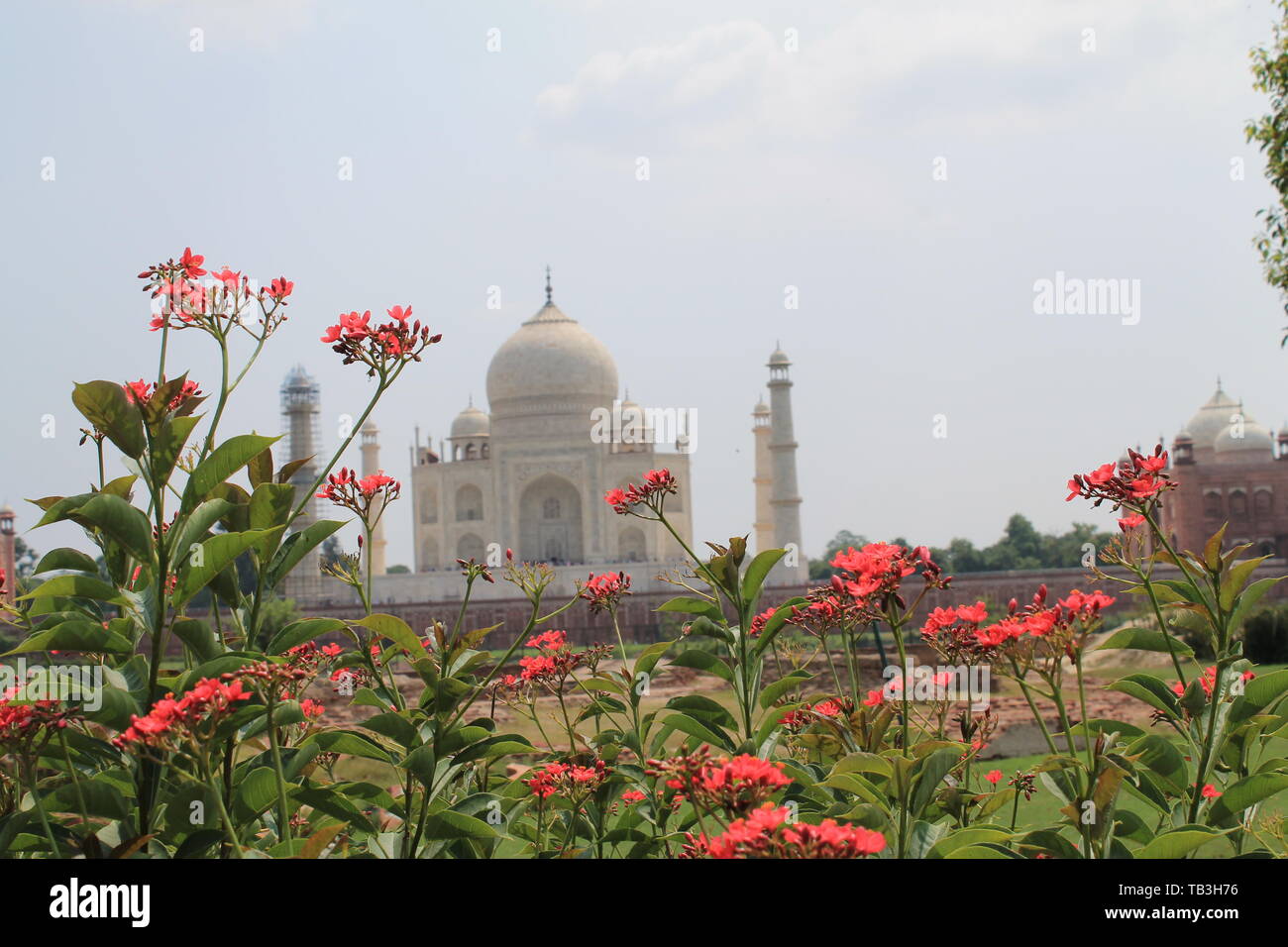 Taj Mahal: The place where love is resting... in front it is living love... which one will you prefer? Live or Dead... Stock Photo